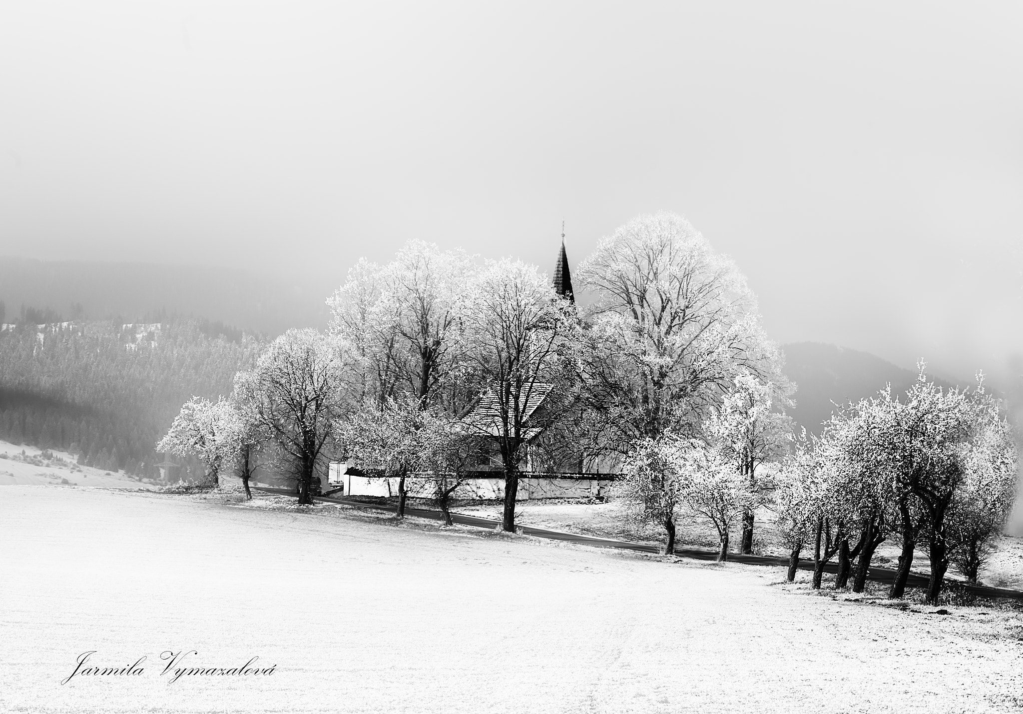 ZEISS Makro-Planar T* 100mm F2 sample photo. Winter photography