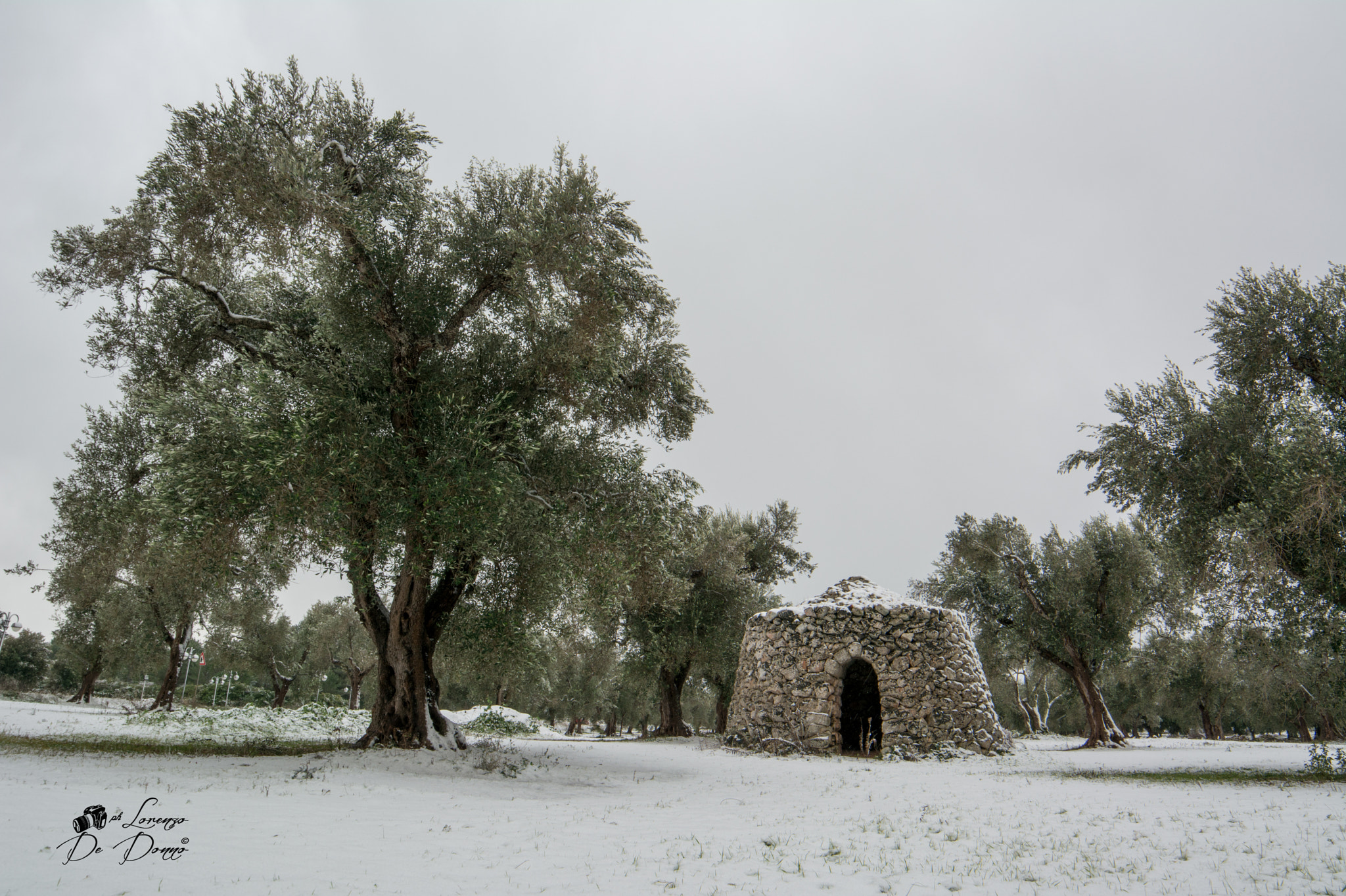 Samyang 14mm F2.8 ED AS IF UMC sample photo. Paesaggio surreale photography