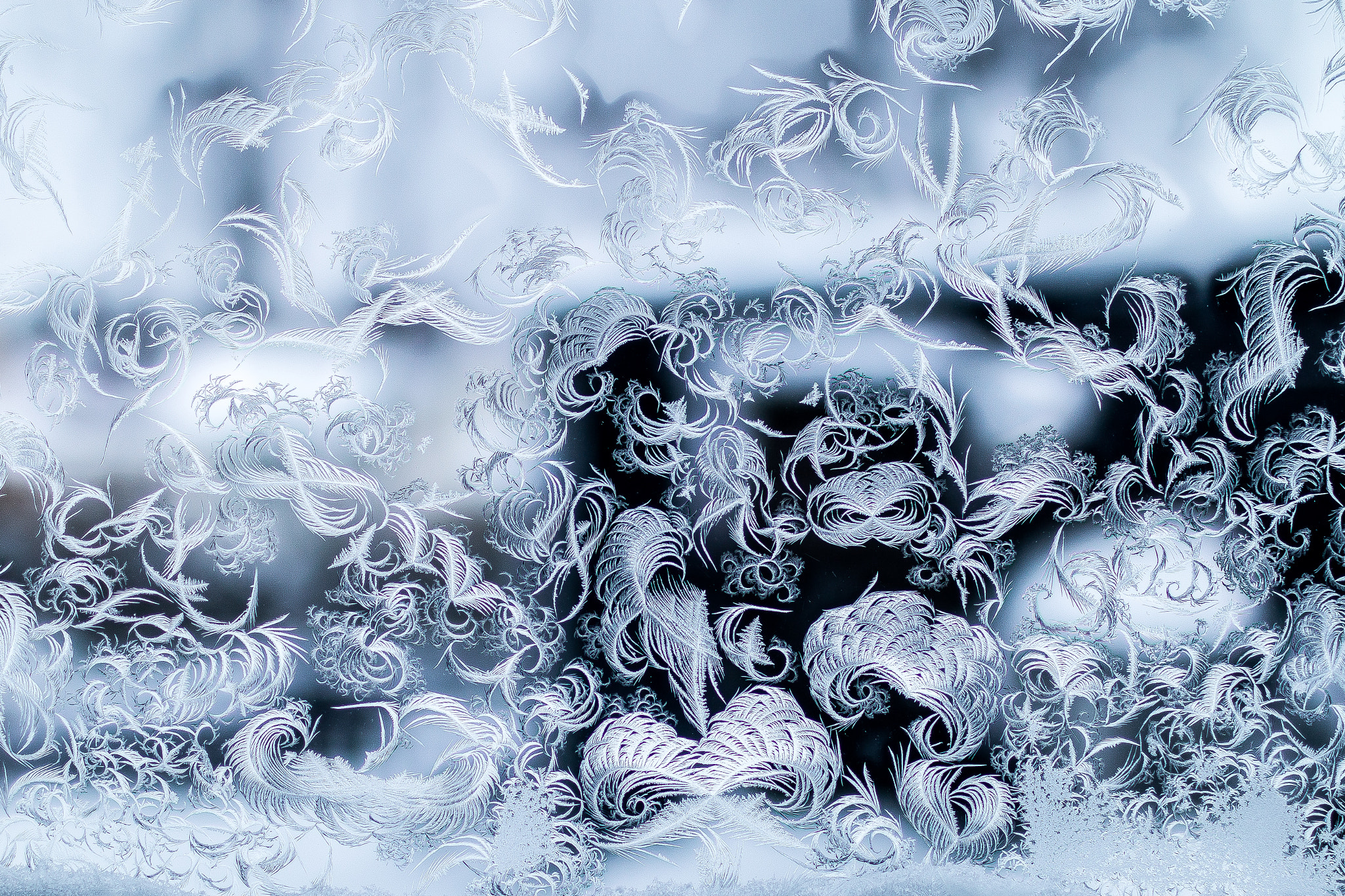 Canon EOS 70D + Canon EF 35mm F1.4L USM sample photo. Frozen window where the ice looks like feathers photography