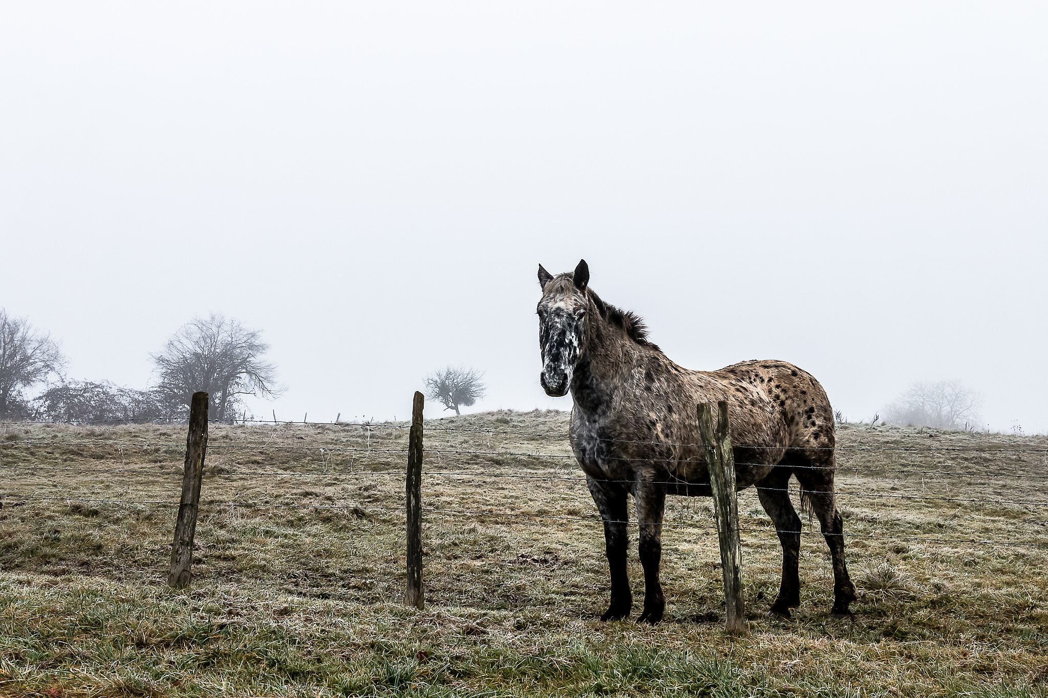 Sigma 24-105mm f/4 DG OS HSM | A sample photo. Companion photography