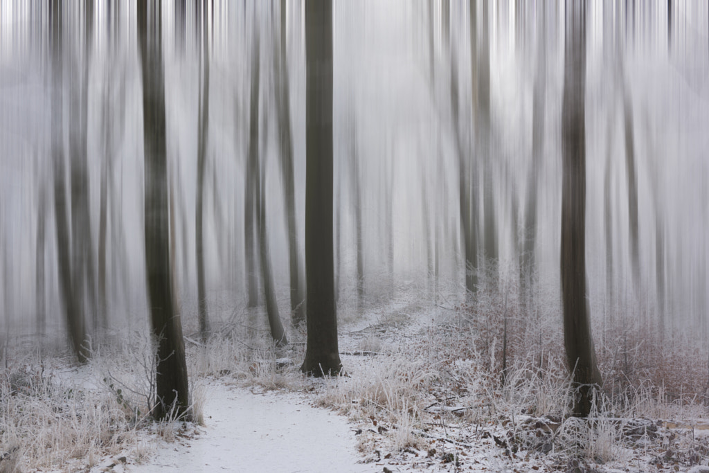 Winter Abstract by Csilla Zelko on 500px.com