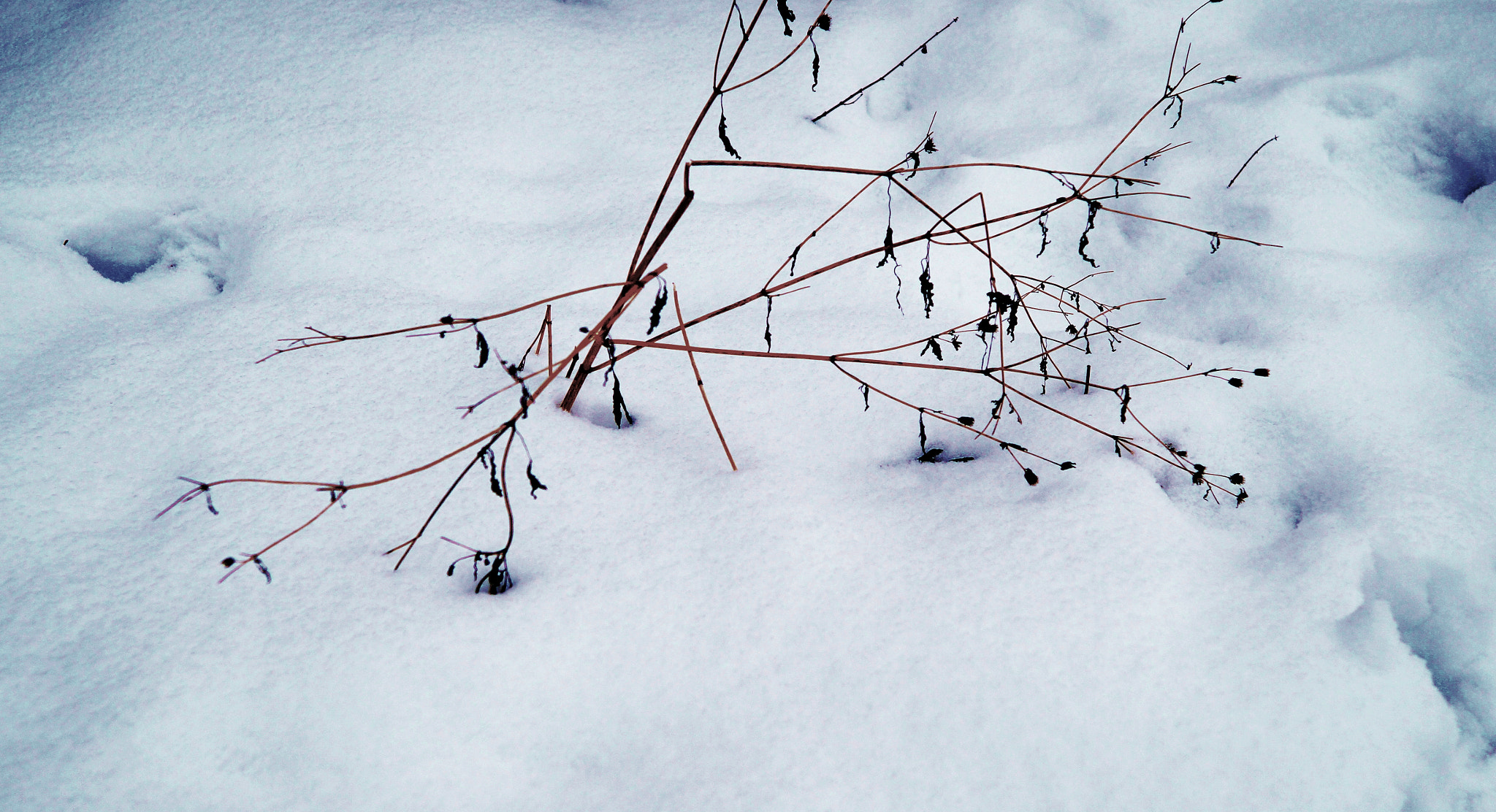 Sony SLT-A37 sample photo. Winter lines4 photography