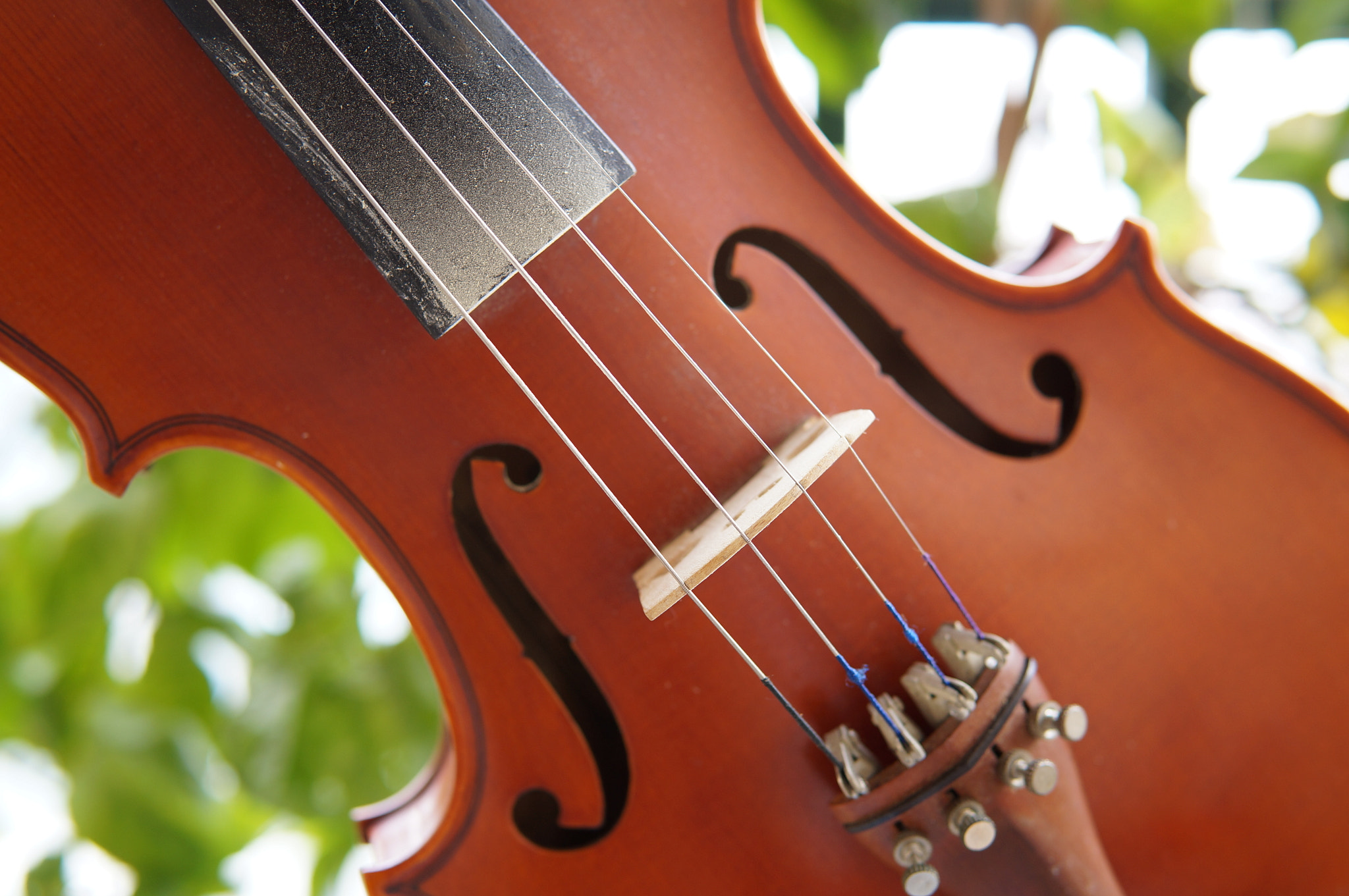 Sony Alpha NEX-F3 sample photo. Violin photography