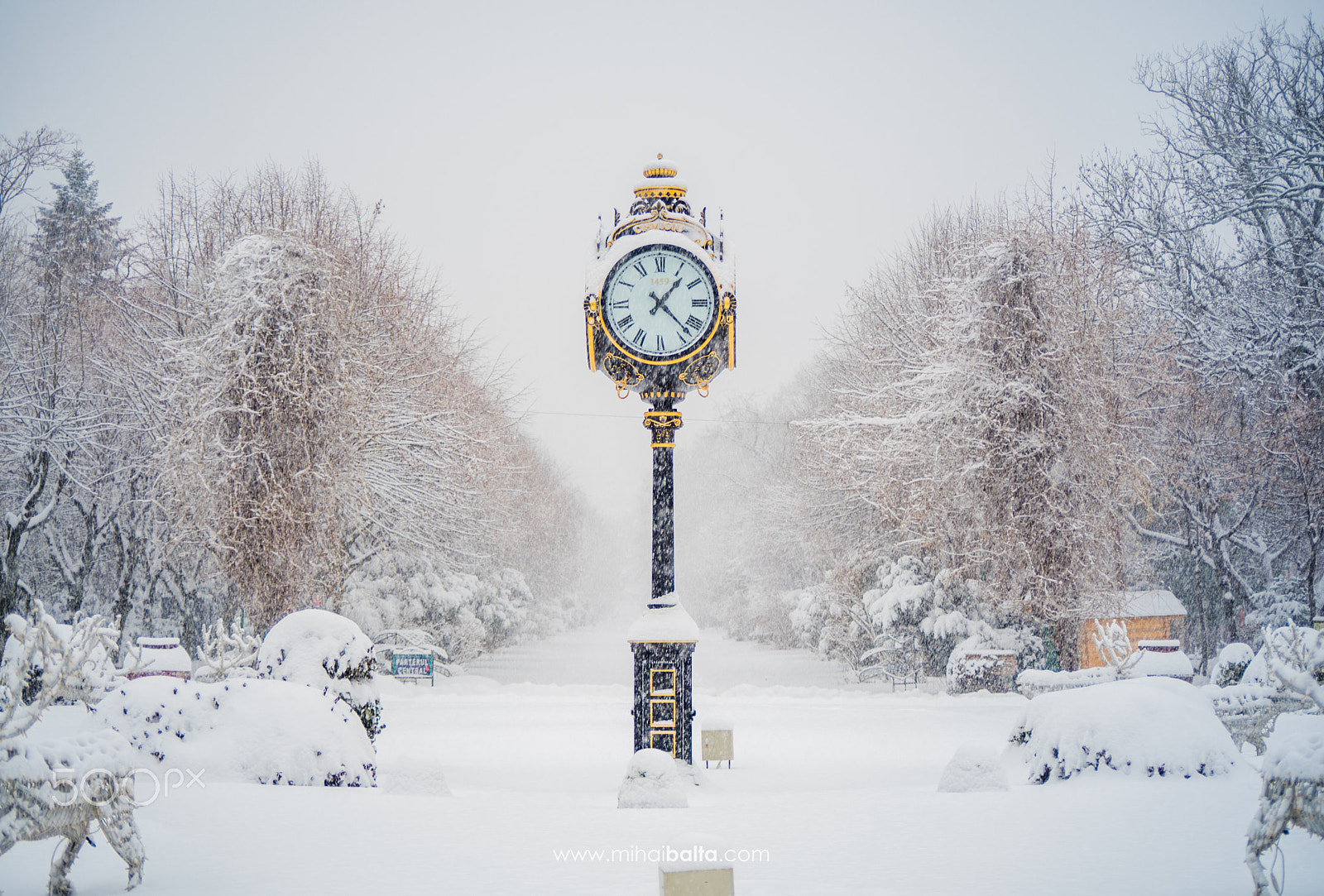 Sigma APO 70-210mm F3.5-4.5 sample photo. Time for snow photography