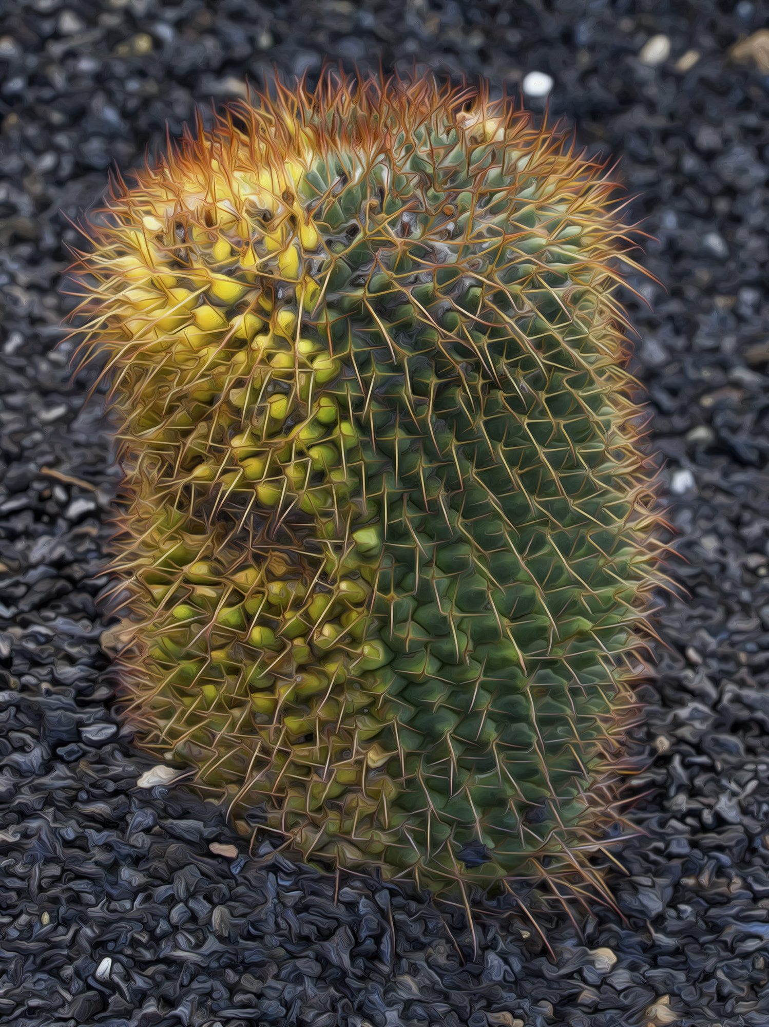 Sigma 150mm f/2.8 EX DG OS HSM APO Macro sample photo. Couldn't decide the color photography