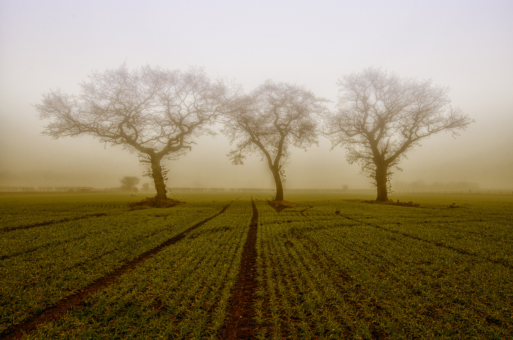 Nikon D5100 + Sigma 10-20mm F3.5 EX DC HSM sample photo. Morning mist photography