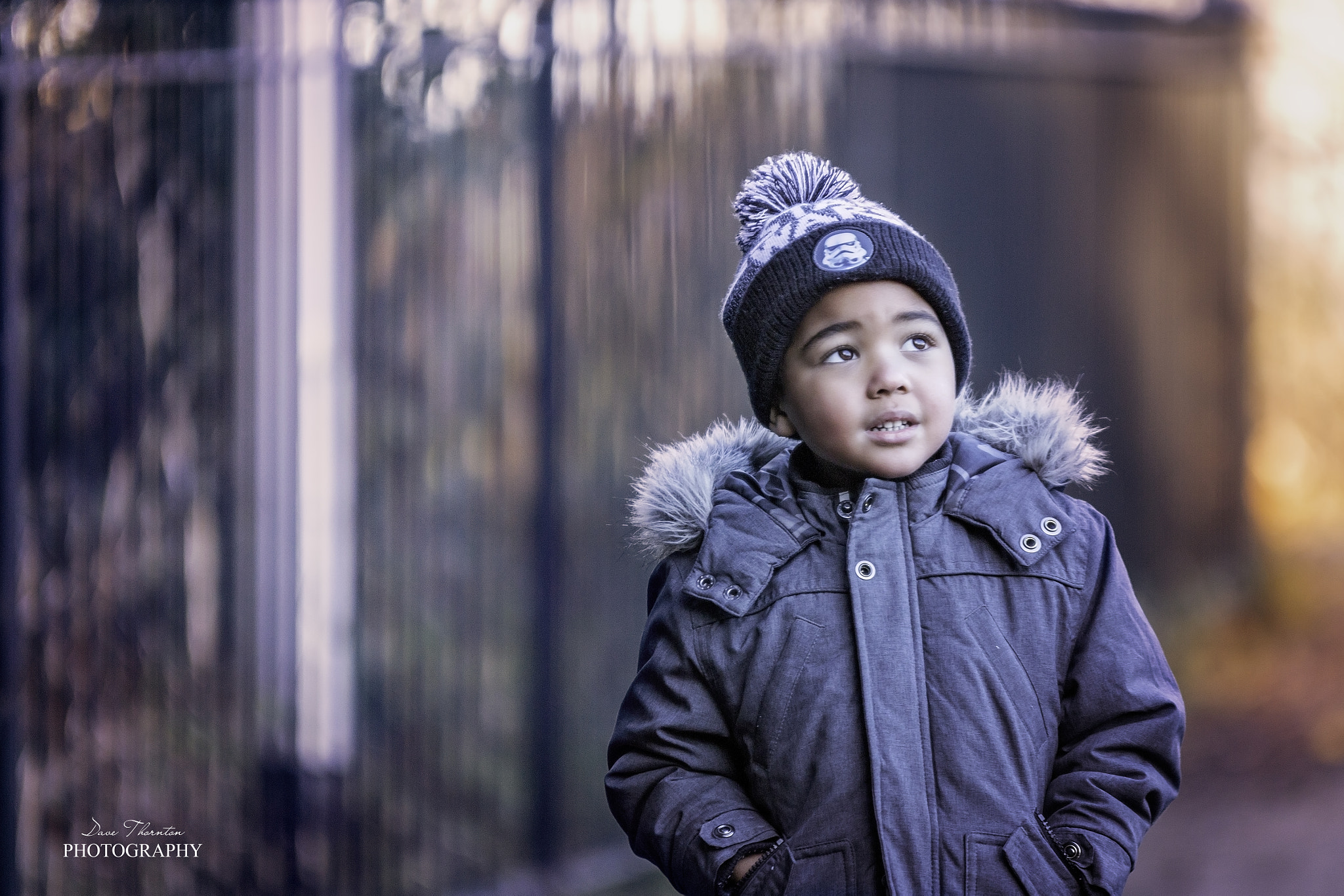 Sigma 70-200mm F2.8 EX DG OS HSM sample photo. The wanderer photography