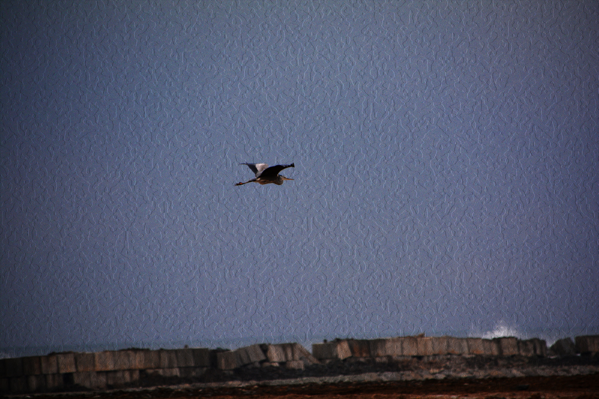 Sigma 28-300mm F3.5-6.3 DG Macro sample photo. Stork photography
