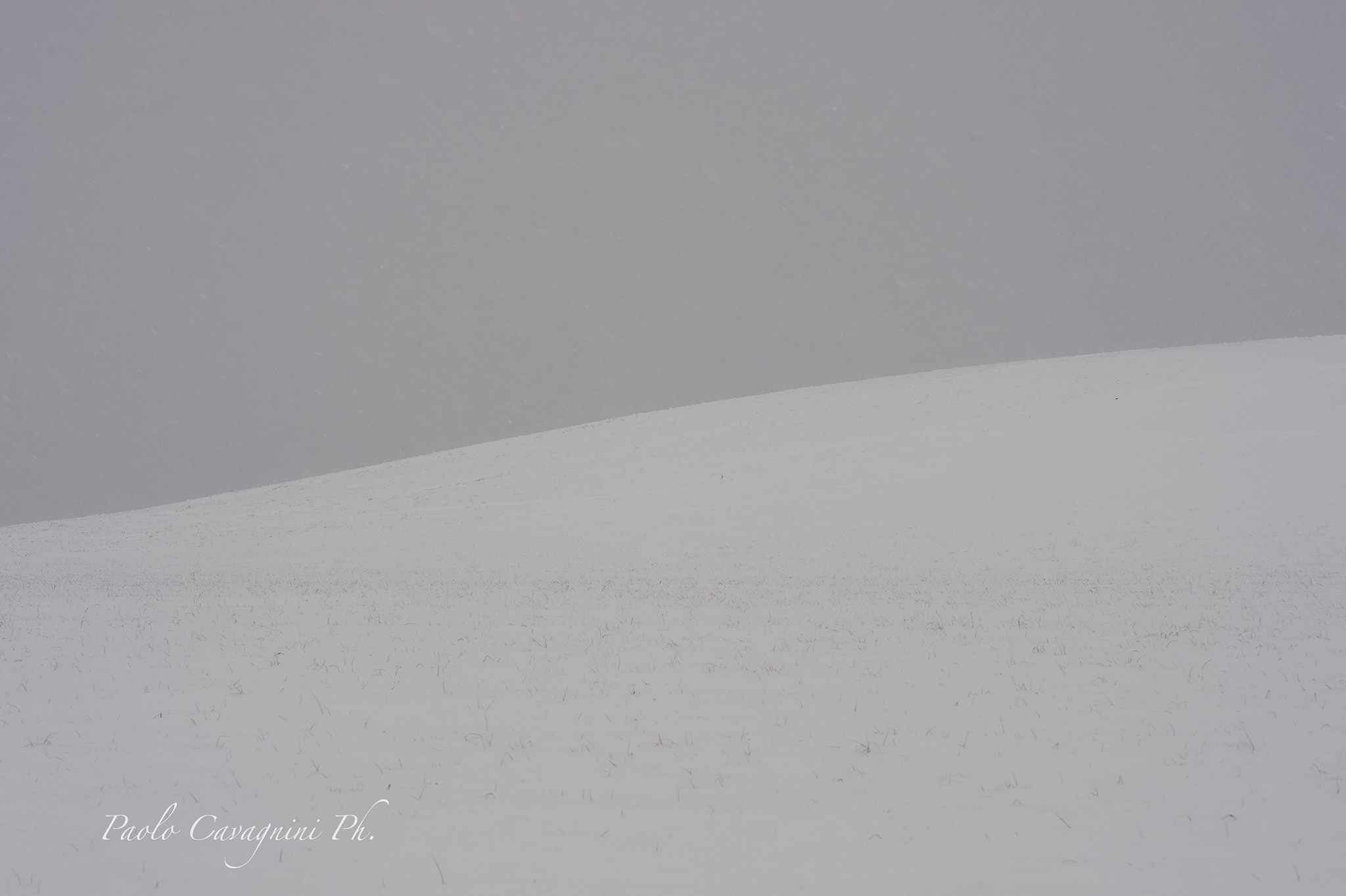 Nikon Df + Nikon AF-S Nikkor 85mm F1.4G sample photo. Winter lines photography