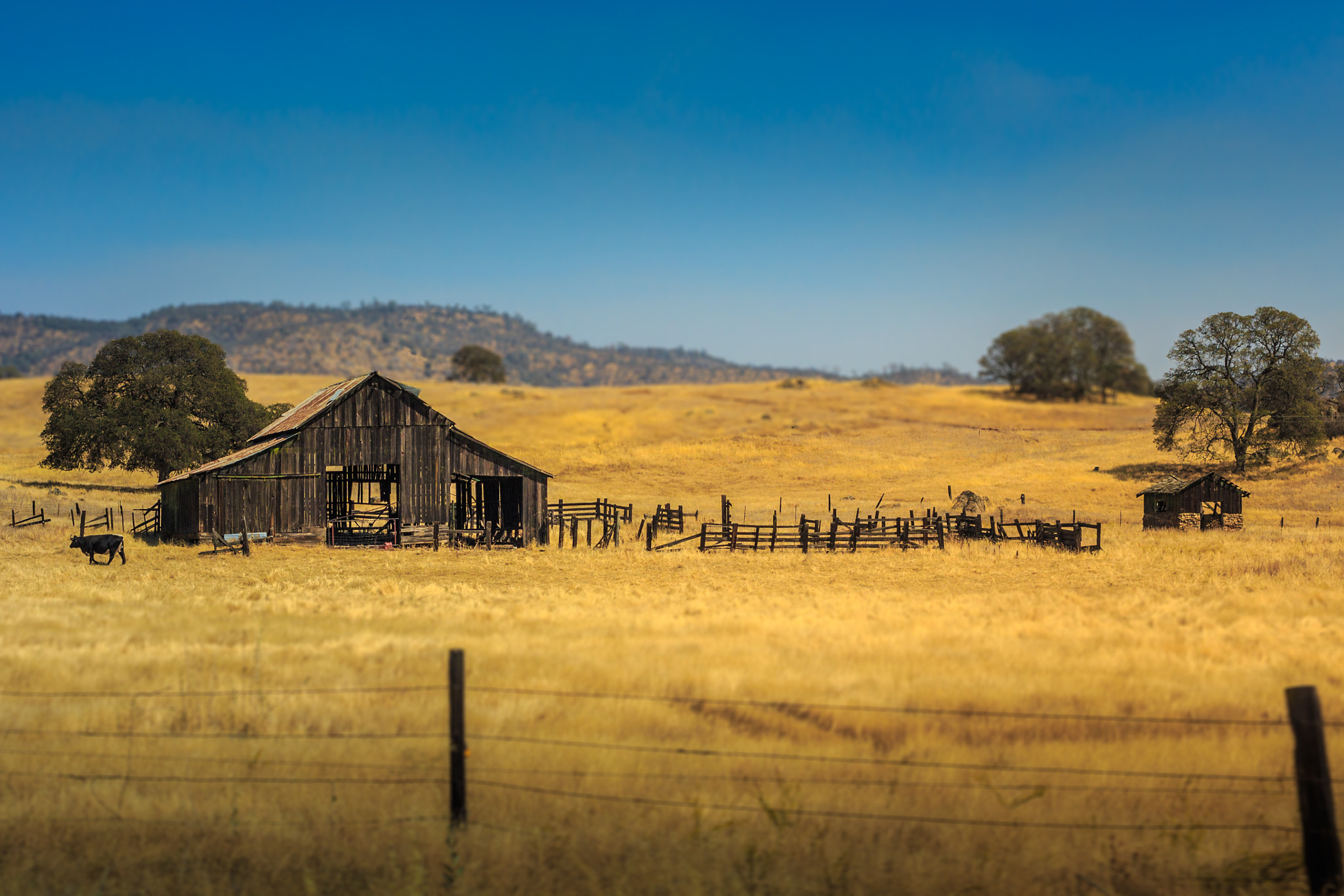 Canon EOS 650D (EOS Rebel T4i / EOS Kiss X6i) sample photo. Countryside photography