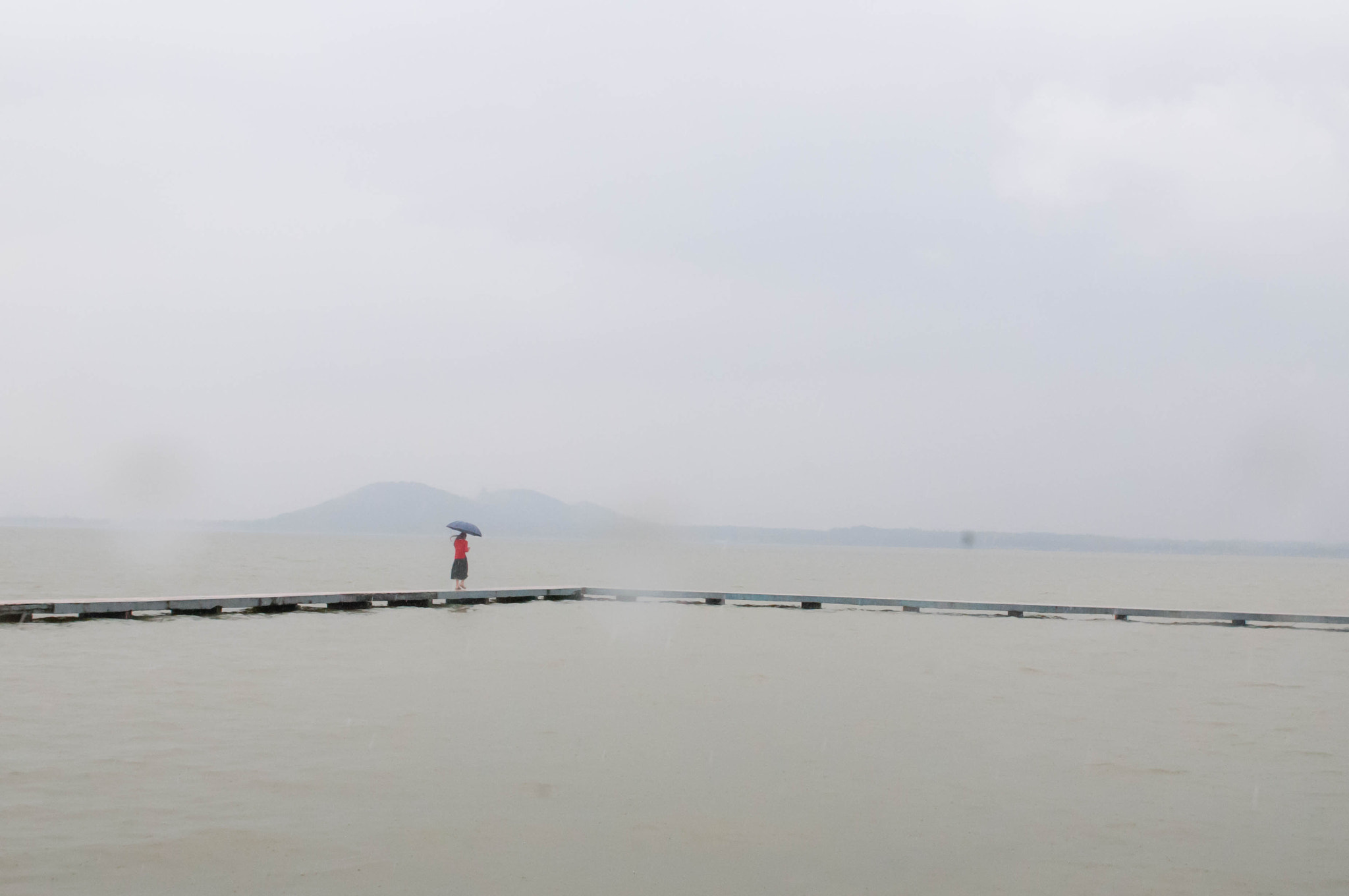 Nikon D300 sample photo. 无边丝雨细如愁 photography