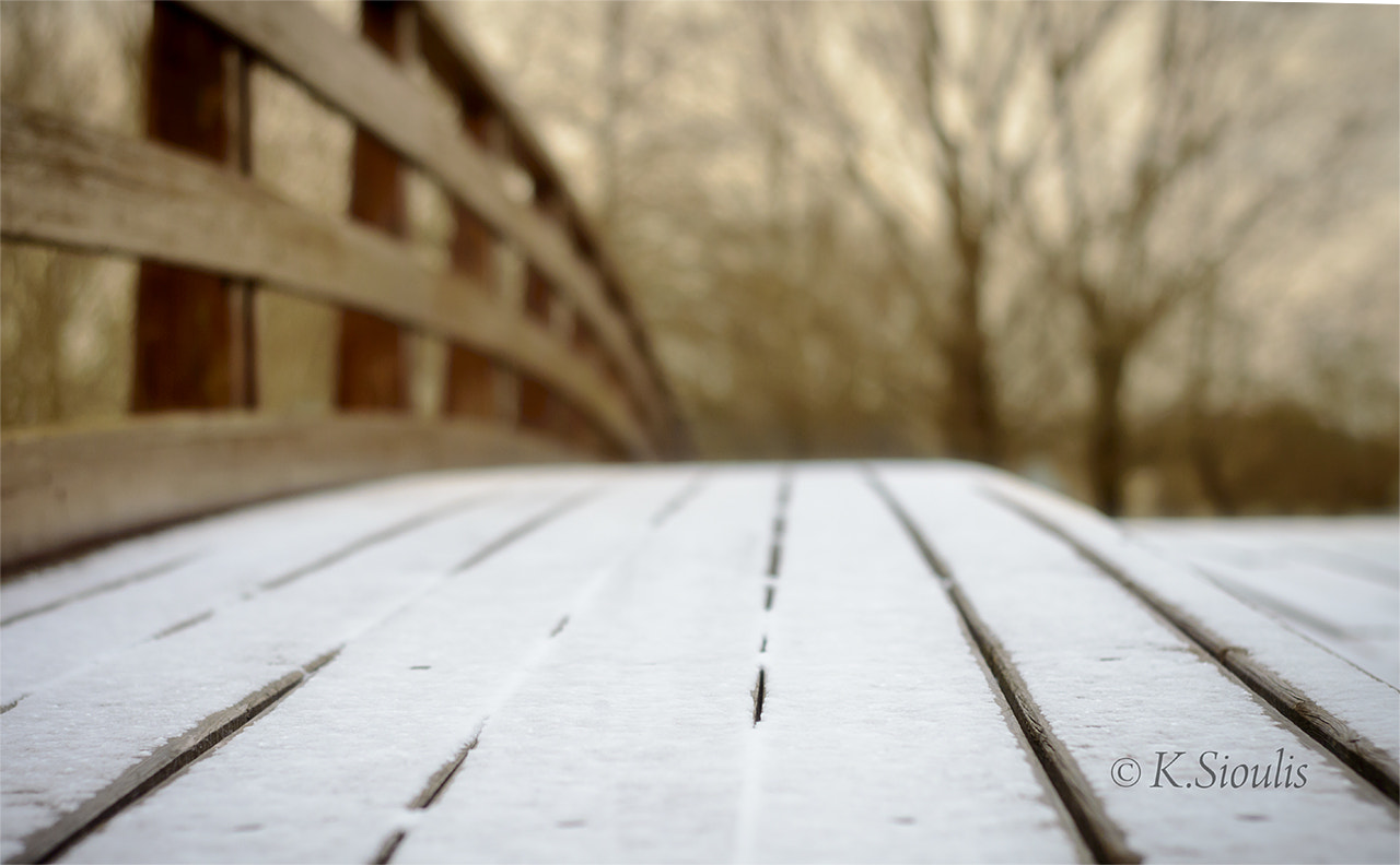Nikon D3200 sample photo