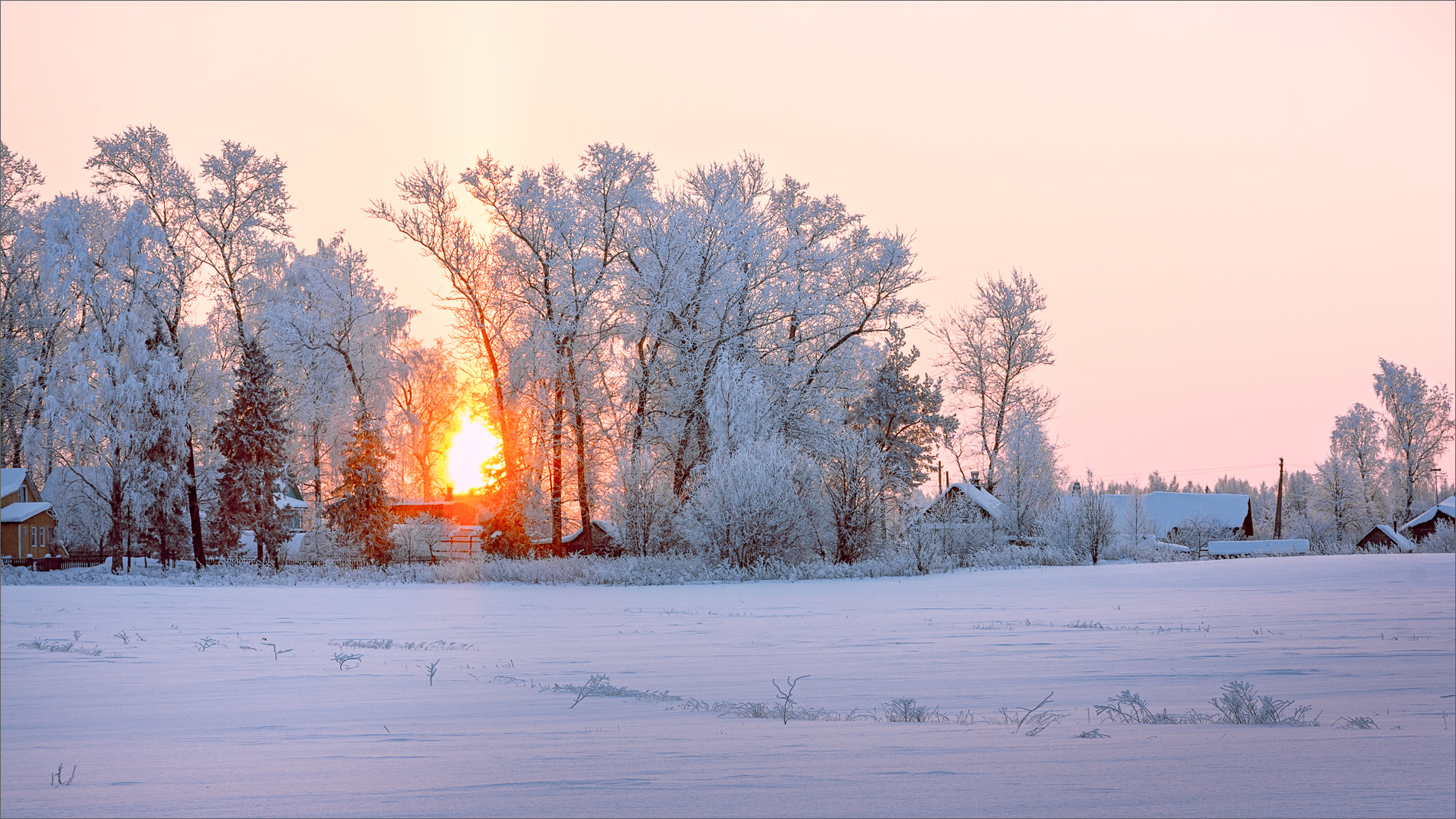 Canon EOS 450D (EOS Rebel XSi / EOS Kiss X2) sample photo. Frosty morning... photography