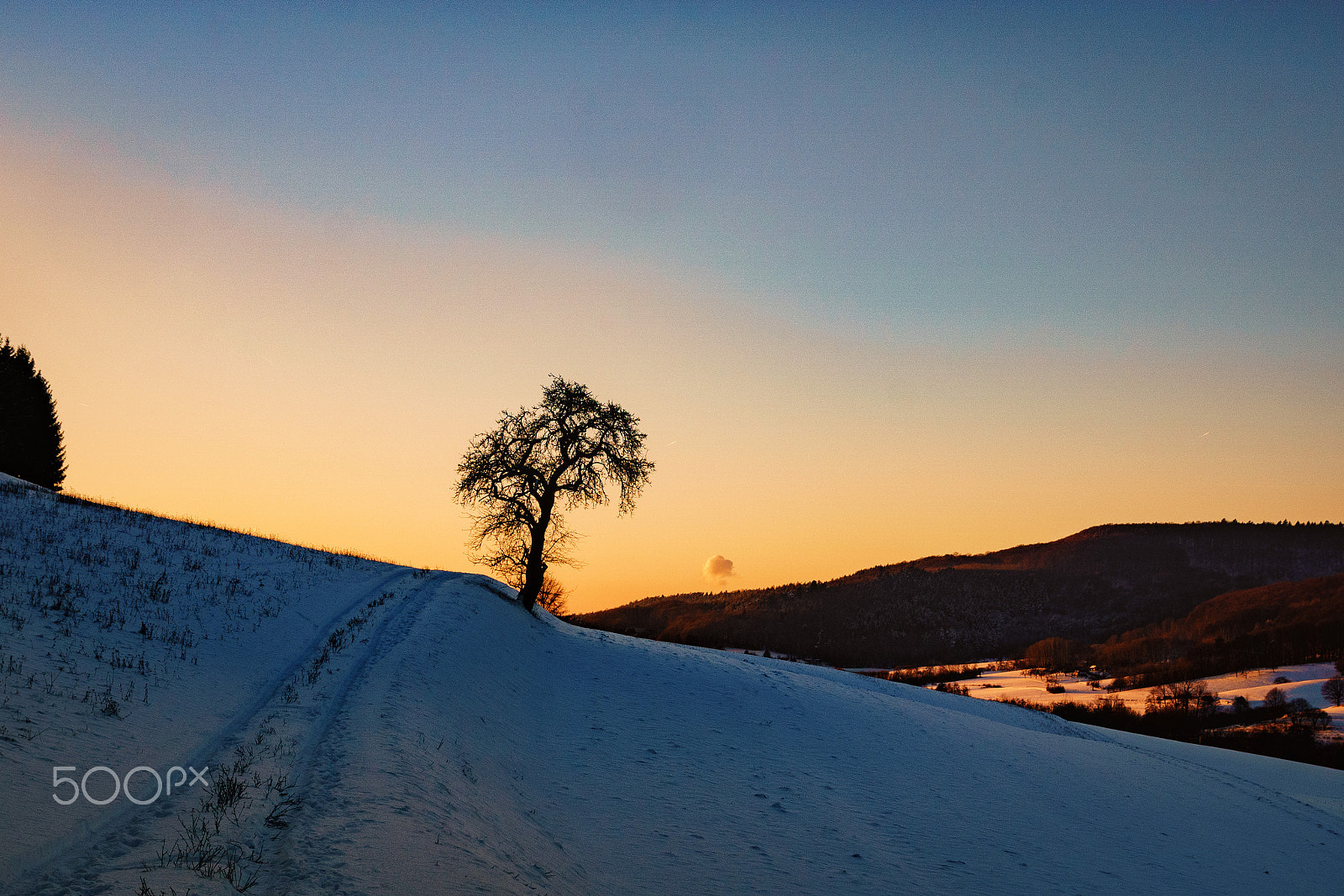 Sony ILCA-77M2 sample photo. My way to the sunset is cold, but gold photography