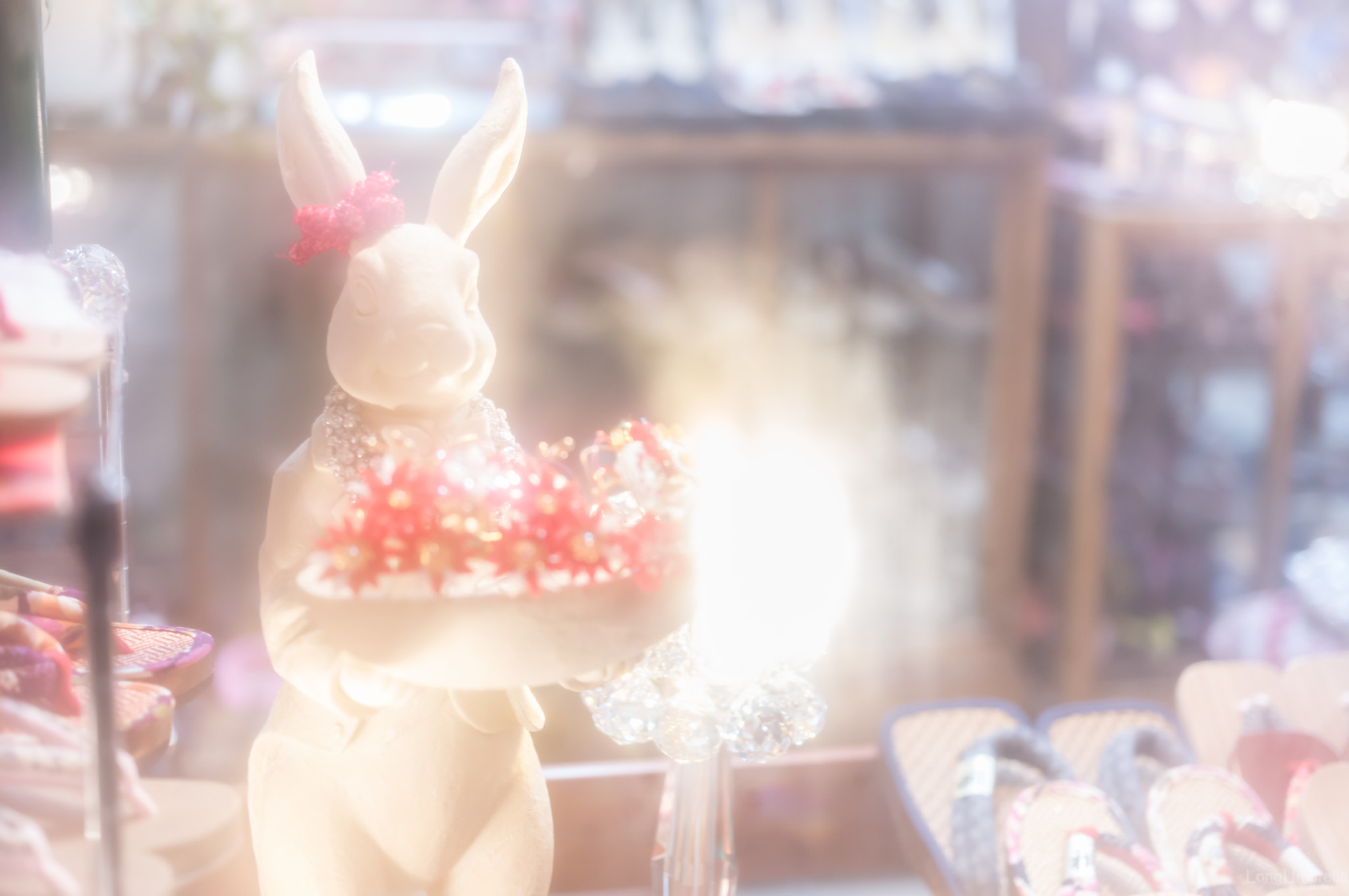 Leica S (TYP 006) + Summarit-S 70 sample photo. Bunny photography
