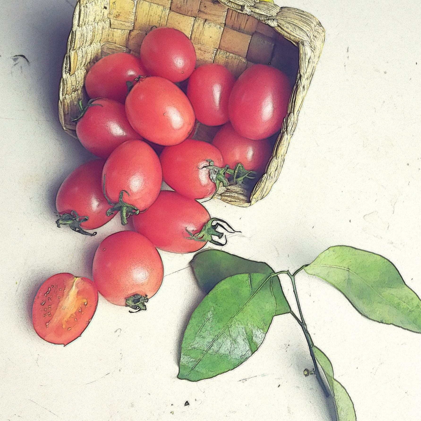 HUAWEI PE-TL10 sample photo. Cherry tomatoes photography