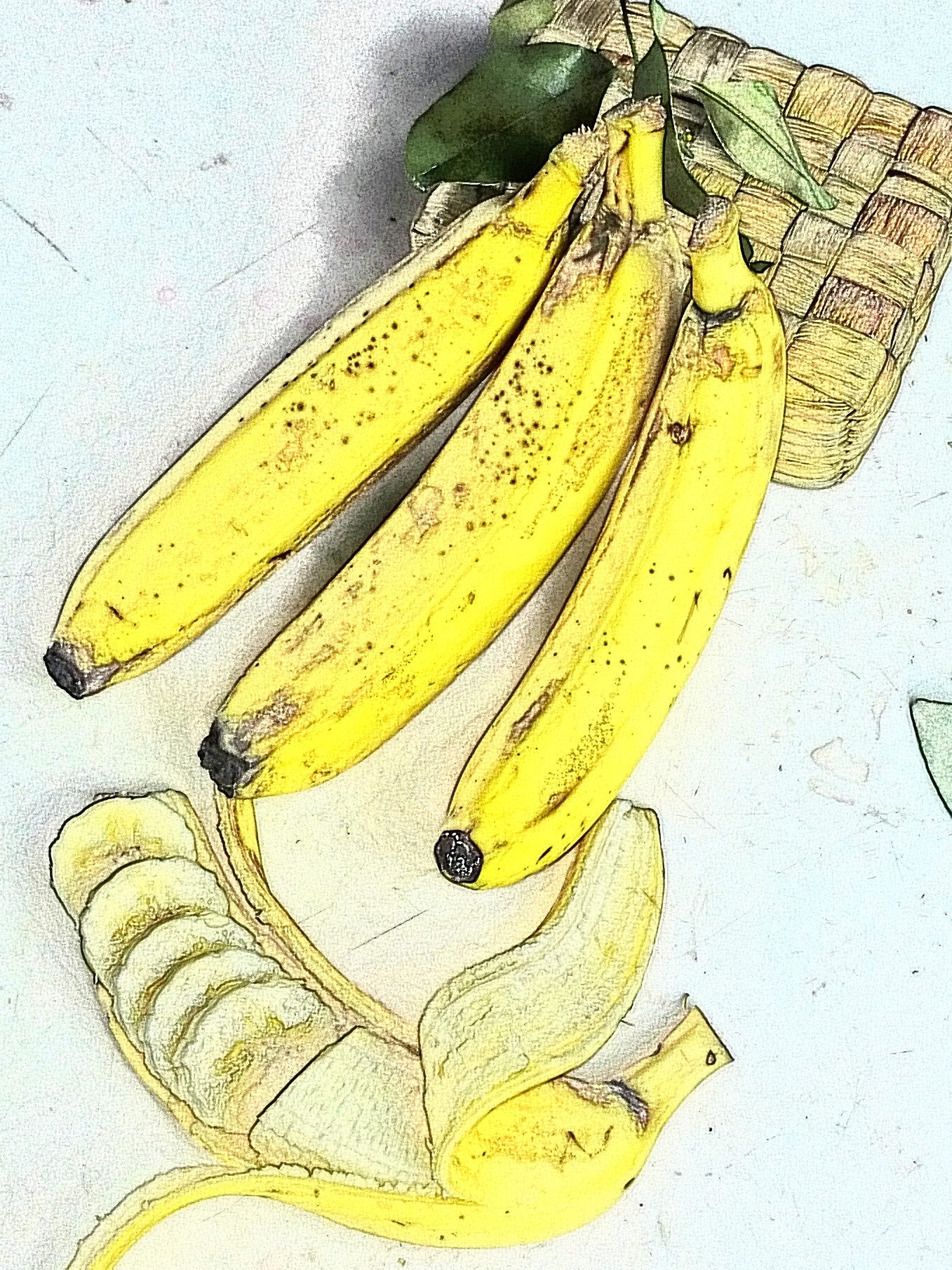 HUAWEI PE-TL10 sample photo. Banana photography
