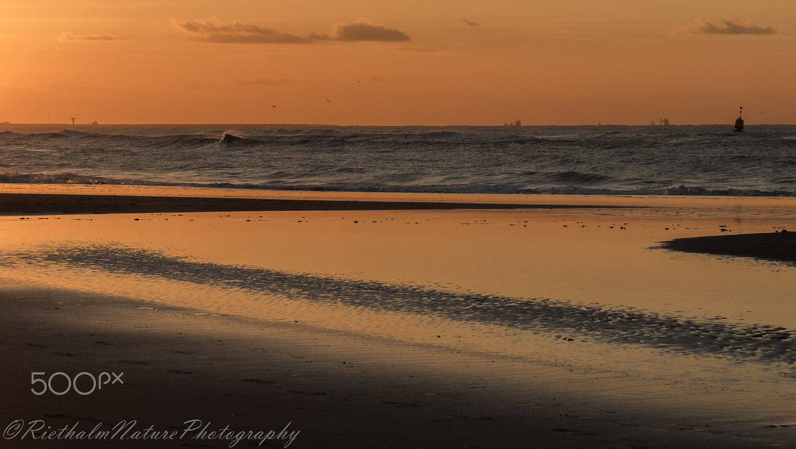 Canon EF-S 17-85mm F4-5.6 IS USM sample photo. Beach/strand photography