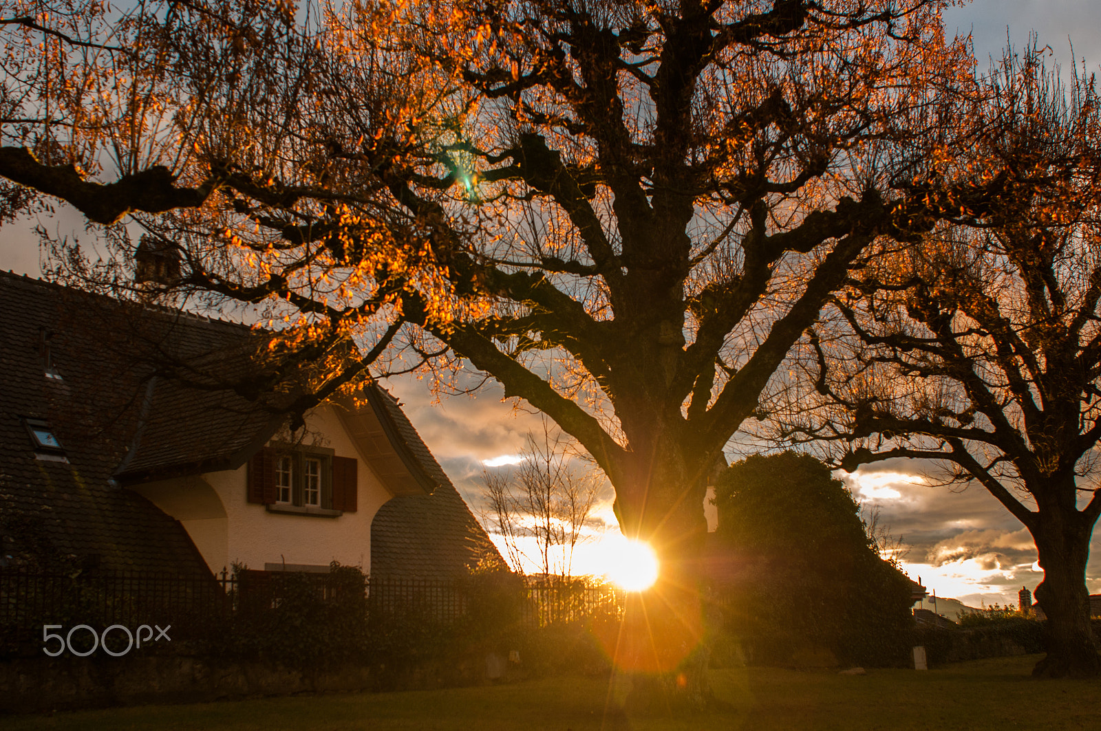 AF Zoom-Nikkor 28-85mm f/3.5-4.5 sample photo. O photography