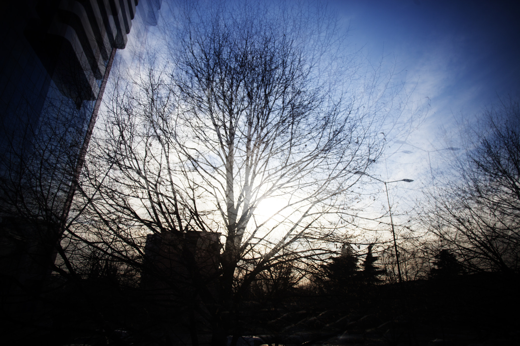 Canon EF 20mm F2.8 USM sample photo. Awkwardness photography