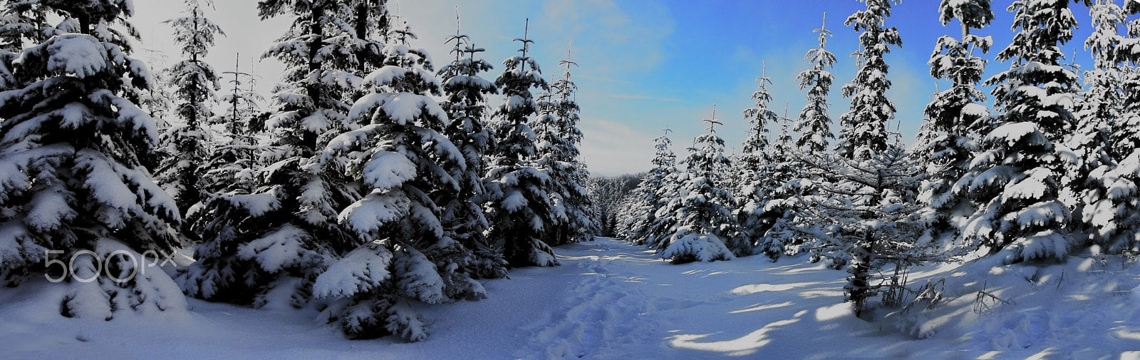Canon EF-S 10-22mm F3.5-4.5 USM sample photo. Let it snow photography
