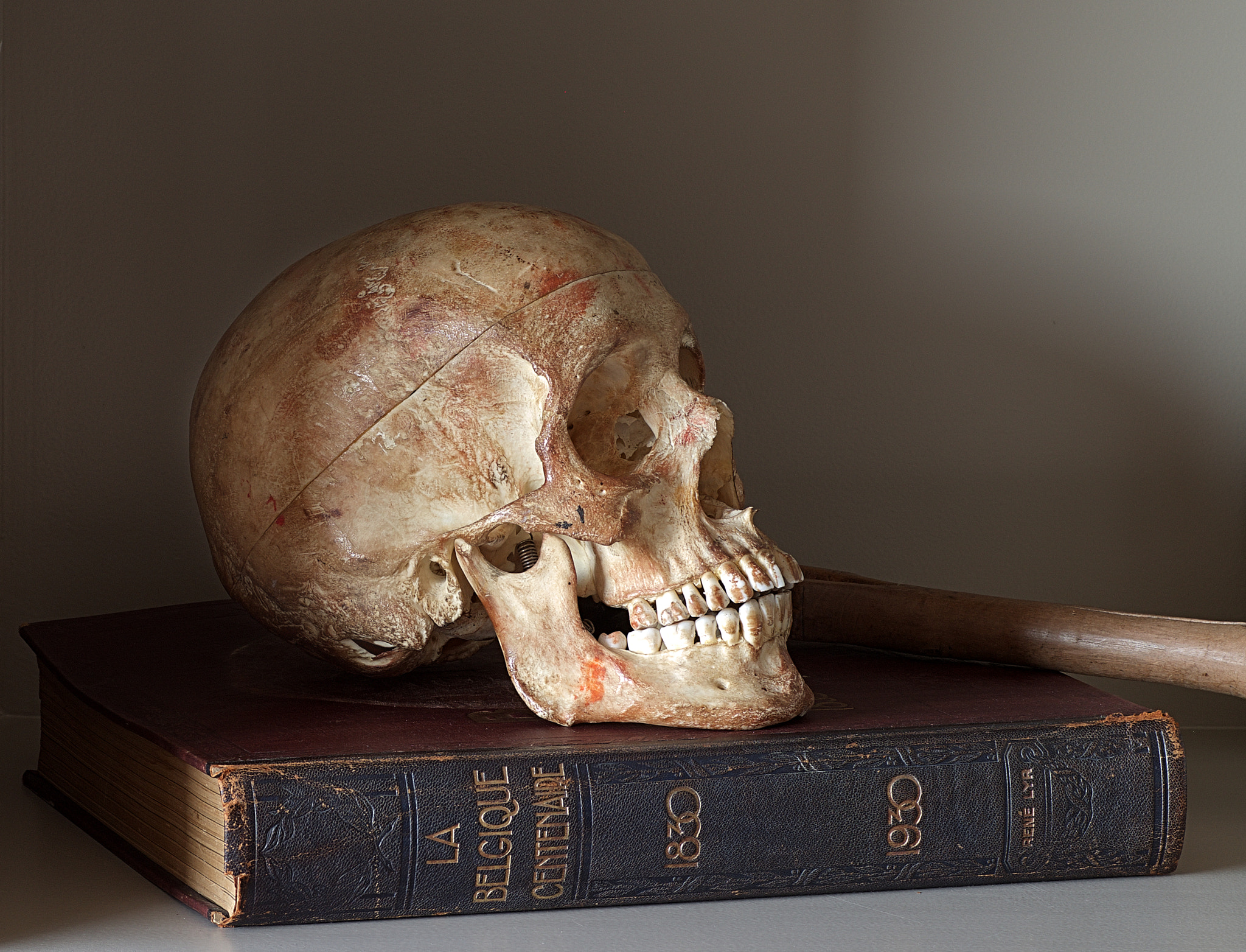 Pentax K-S2 + Tamron SP AF 90mm F2.8 Di Macro sample photo. Old skull photography