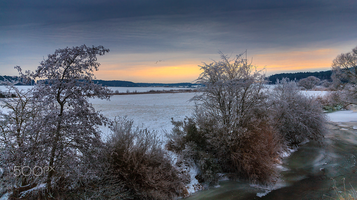 Canon EF 24-105mm F3.5-5.6 IS STM sample photo. Morning frozen photography