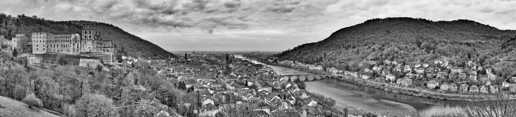 Sony FE 24-70mm F2.8 GM sample photo. Panorama of heidelberg and castle photography