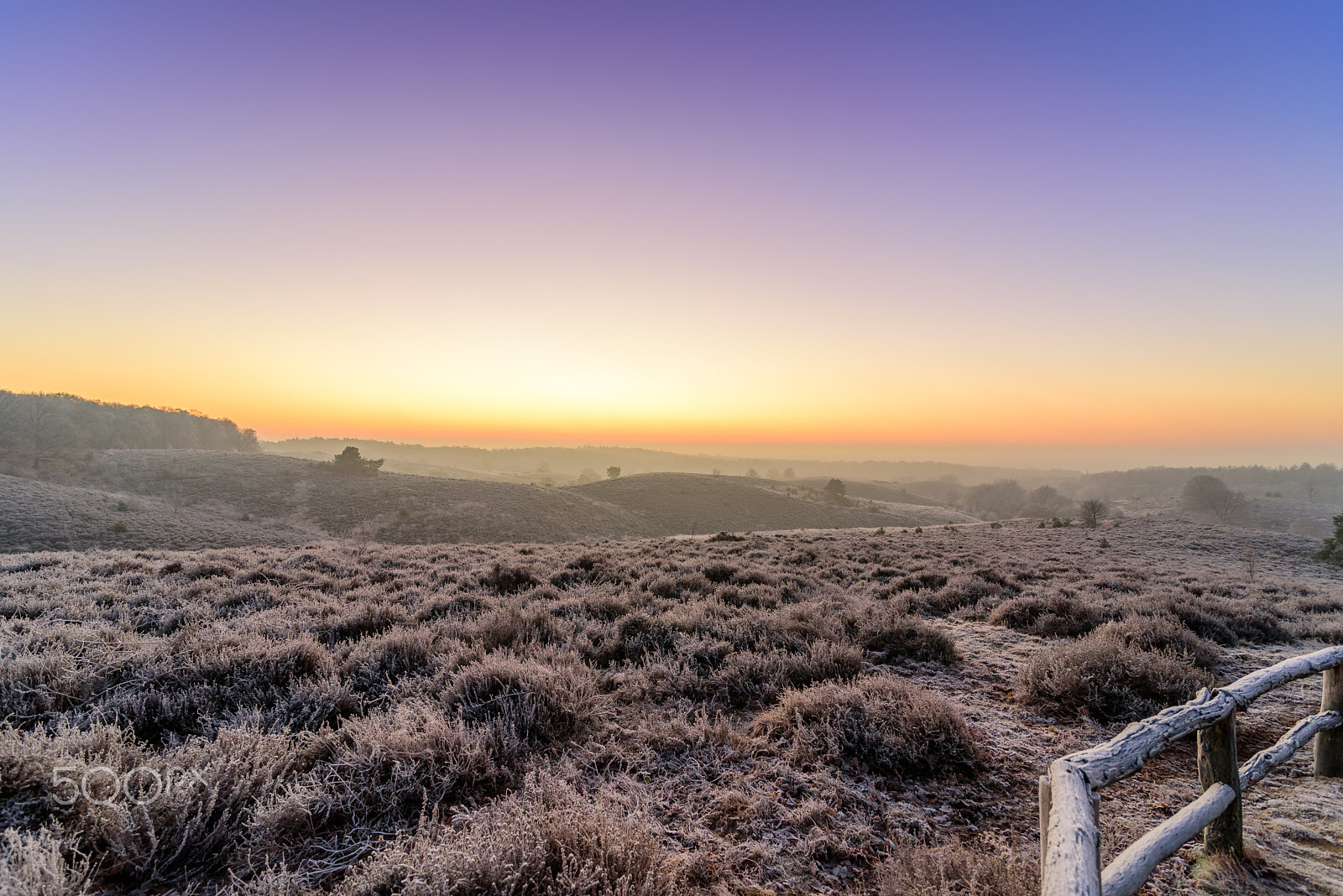 Tokina AT-X 16-28mm F2.8 Pro FX sample photo. Misty hills photography