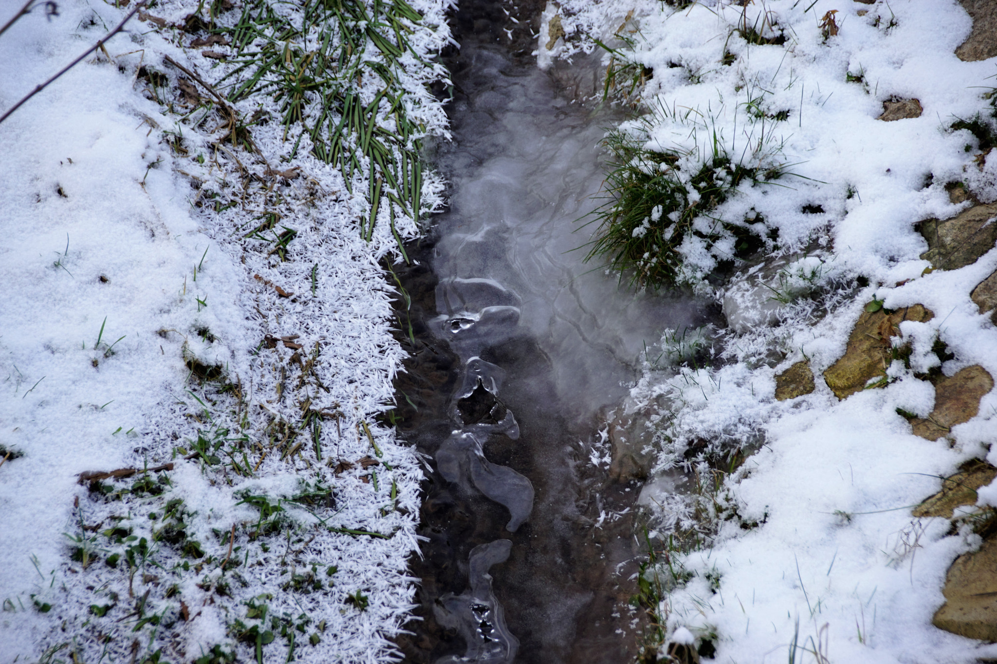 Tamron 80-300mm F3.5-6.3 sample photo. Winter photography