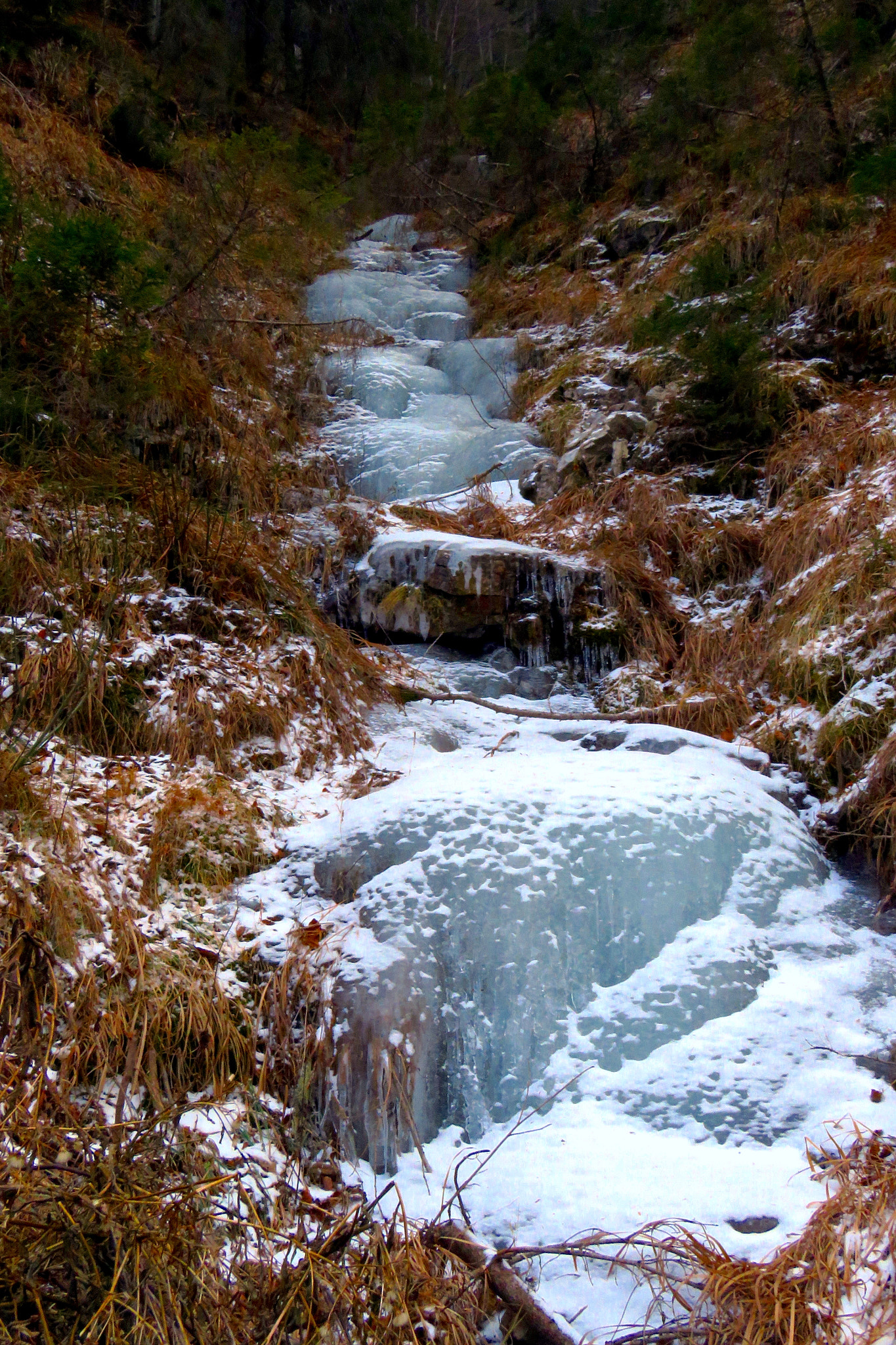 3.8 - 247.0 mm sample photo. Frozen photography