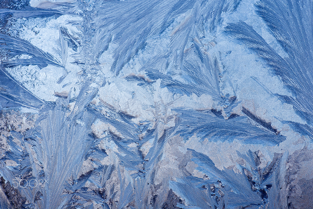 Canon EOS 6D + Tamron SP AF 90mm F2.8 Di Macro sample photo. The art of winter photography