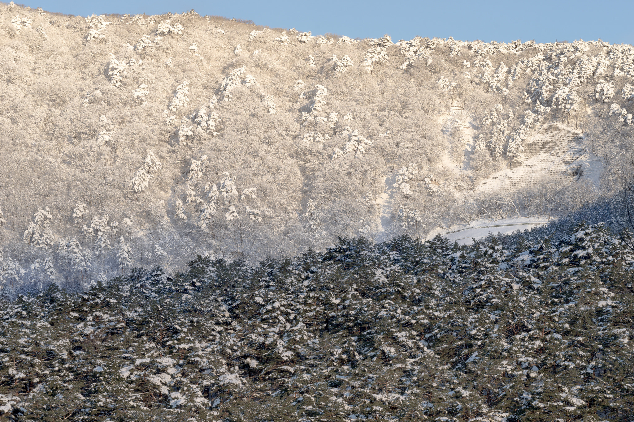 Sony FE 70-300mm F4.5-5.6 G OSS sample photo. Brand-new snow photography