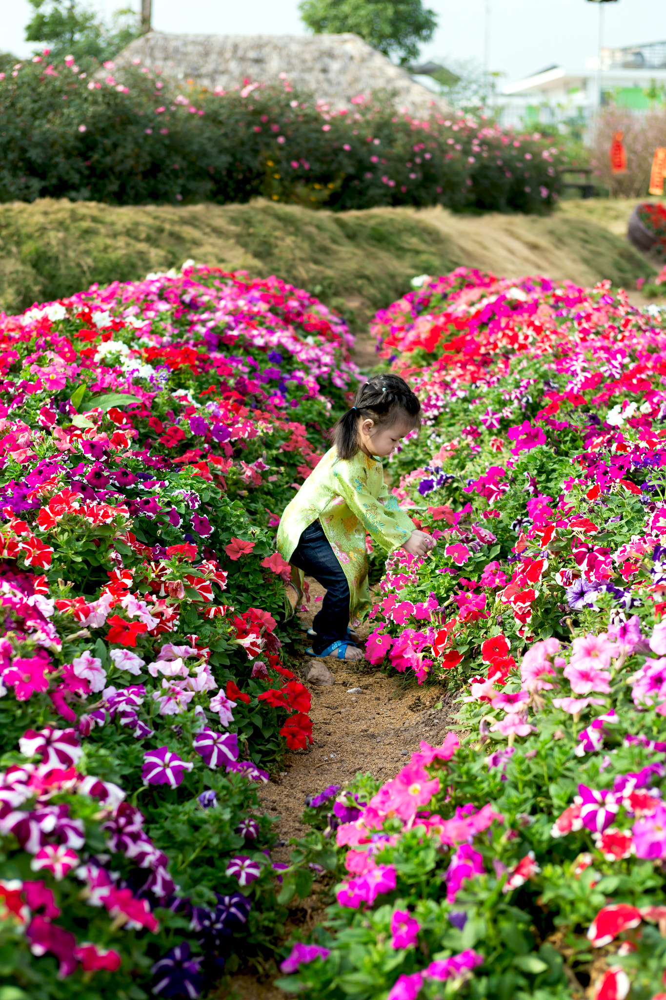 Canon EOS 6D + EF28-70mm f/2.8L USM sample photo. Mg photography