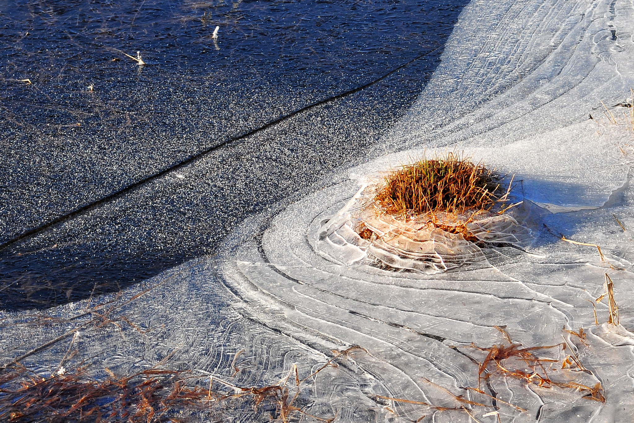 Nikon D300 sample photo. Ice photography