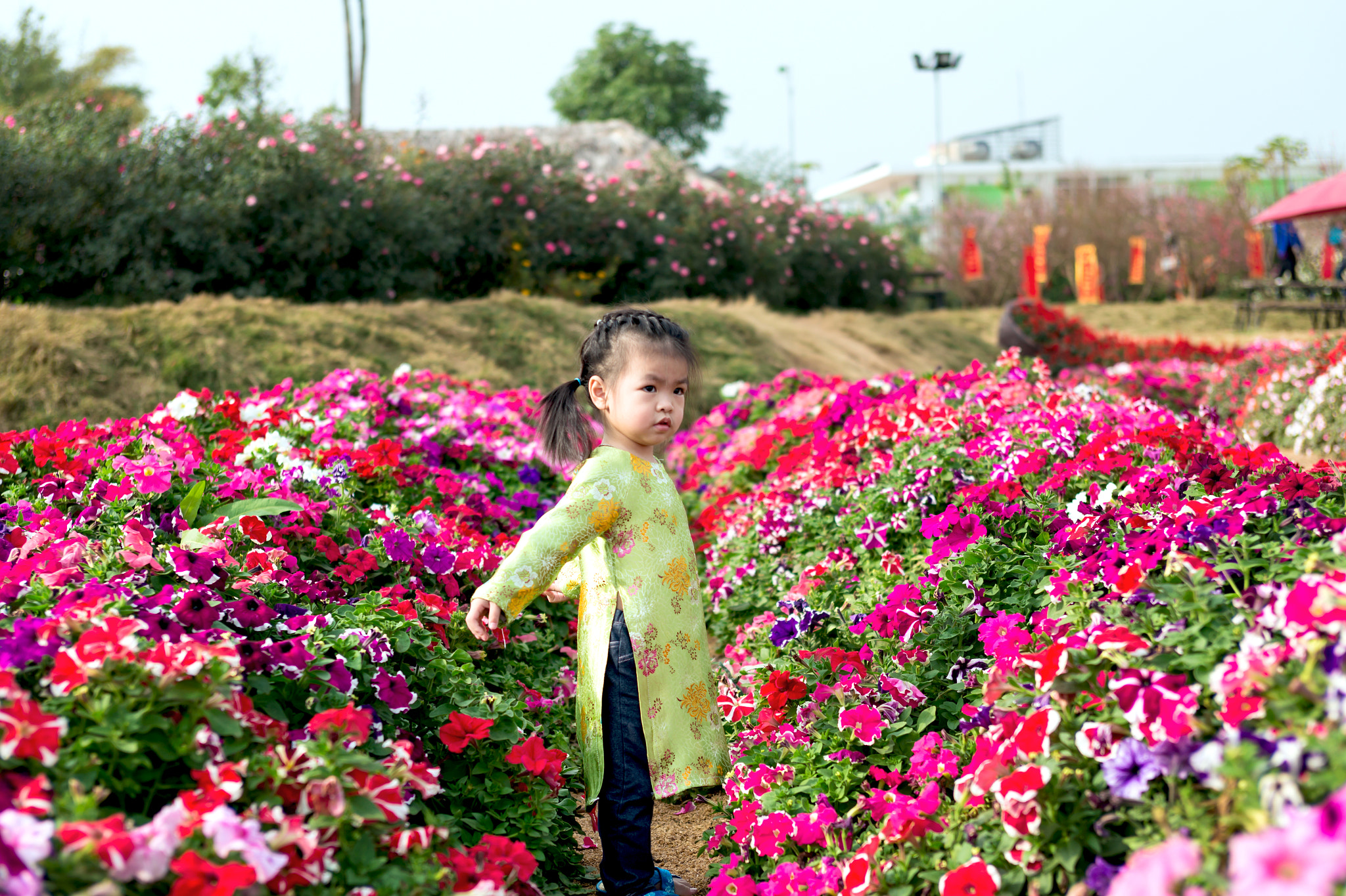 Canon EOS 6D + EF28-70mm f/2.8L USM sample photo. Mg photography