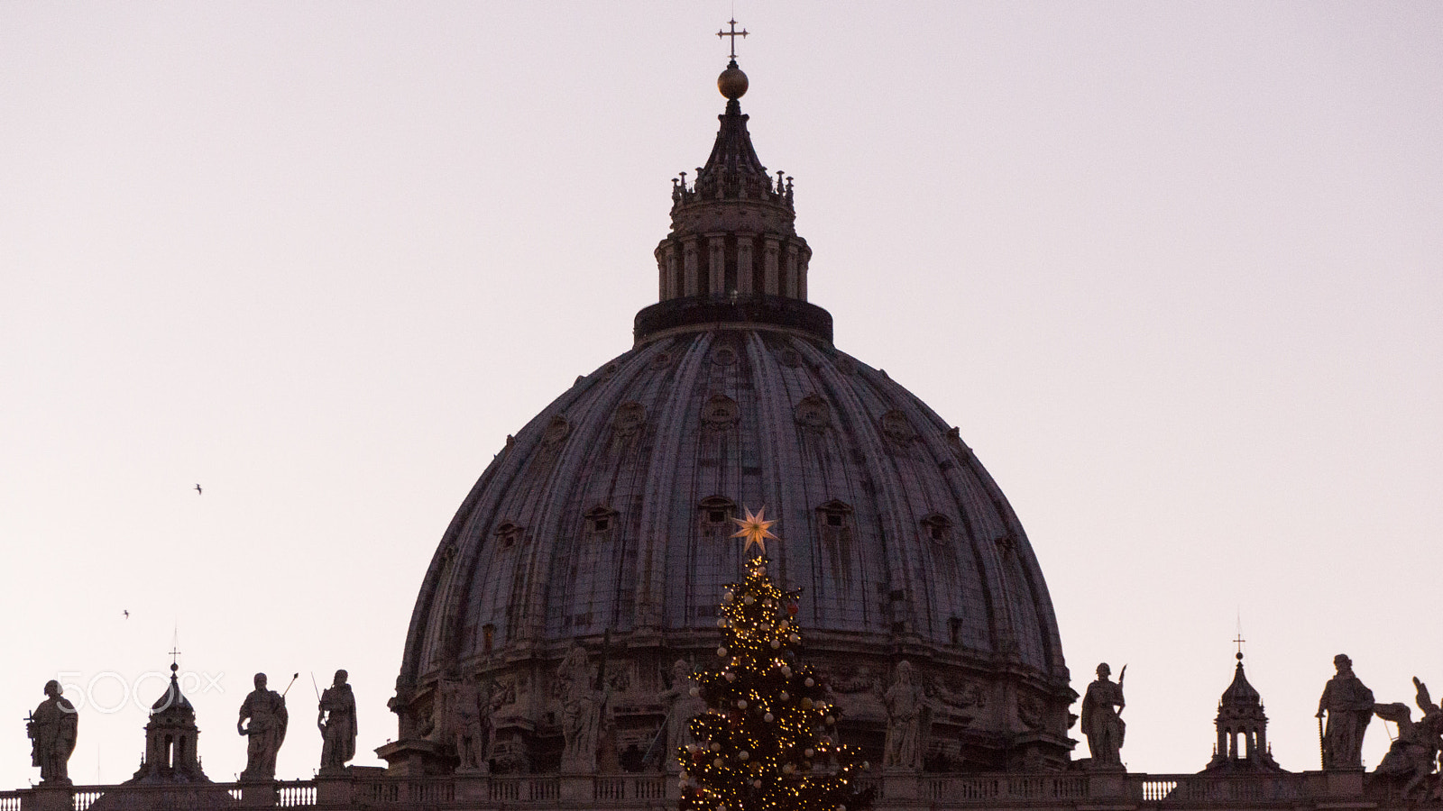 Sony SLT-A65 (SLT-A65V) + Tamron AF 28-105mm F4-5.6 [IF] sample photo. Christmas tree at st. peters basilica photography
