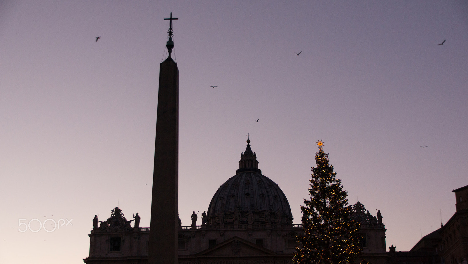 Tamron AF 28-105mm F4-5.6 [IF] sample photo. Christmas tree at st. peters basilica photography