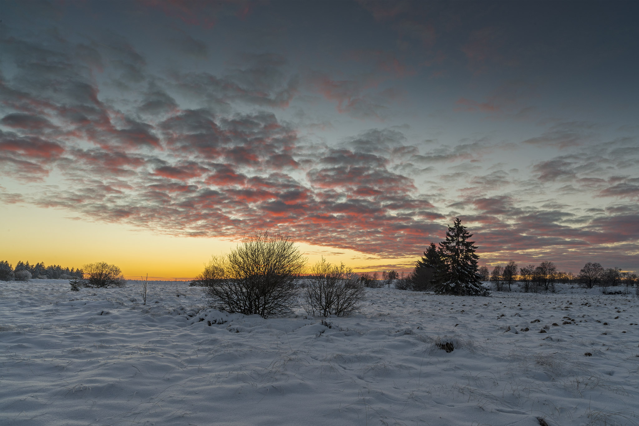 Nikon D800 sample photo. Venn sunset photography