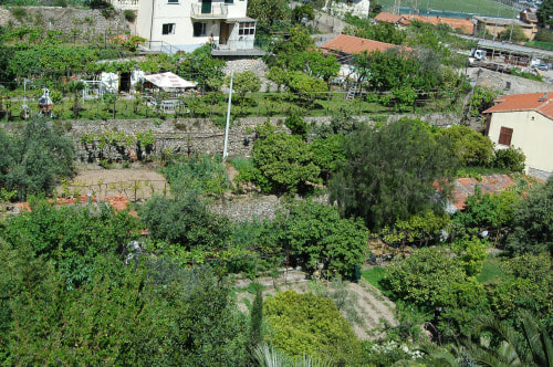 Nikon D70 sample photo. Ventimiglia (im) - orti del cioussu photography