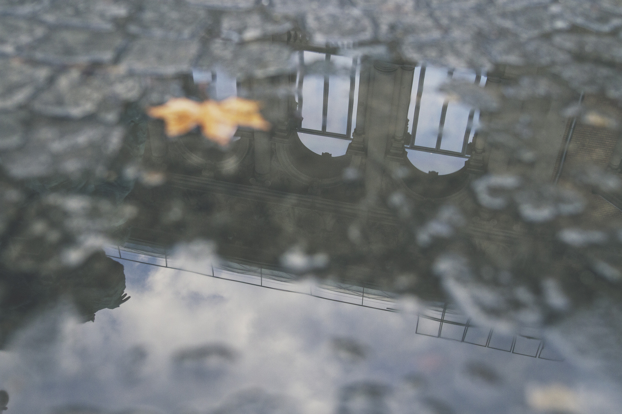 Sigma 24mm F1.4 DG HSM Art sample photo. K20 puddle reflections photography