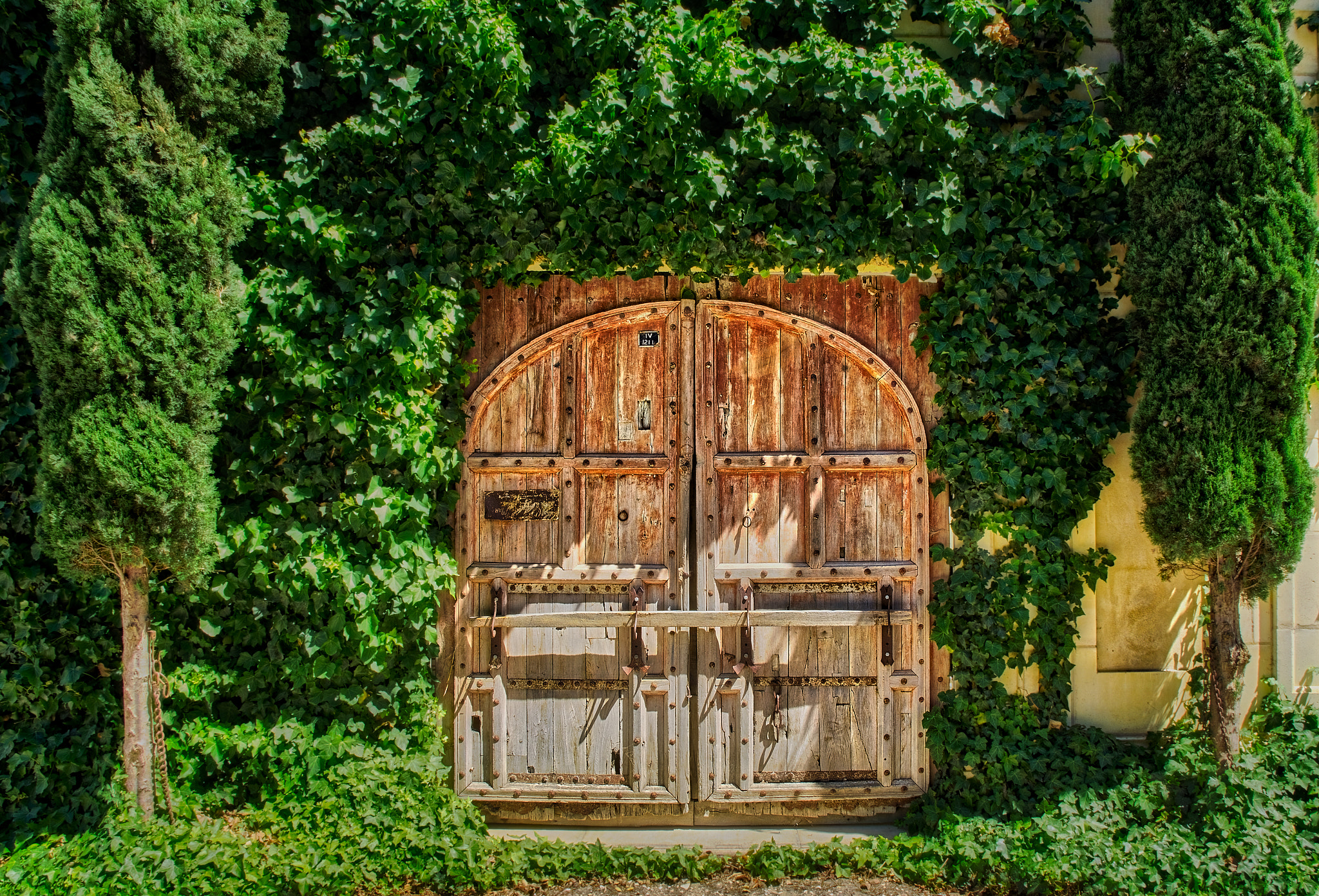Sony a6000 + Sony Vario-Tessar T* E 16-70mm F4 ZA OSS sample photo. Barndoor photography