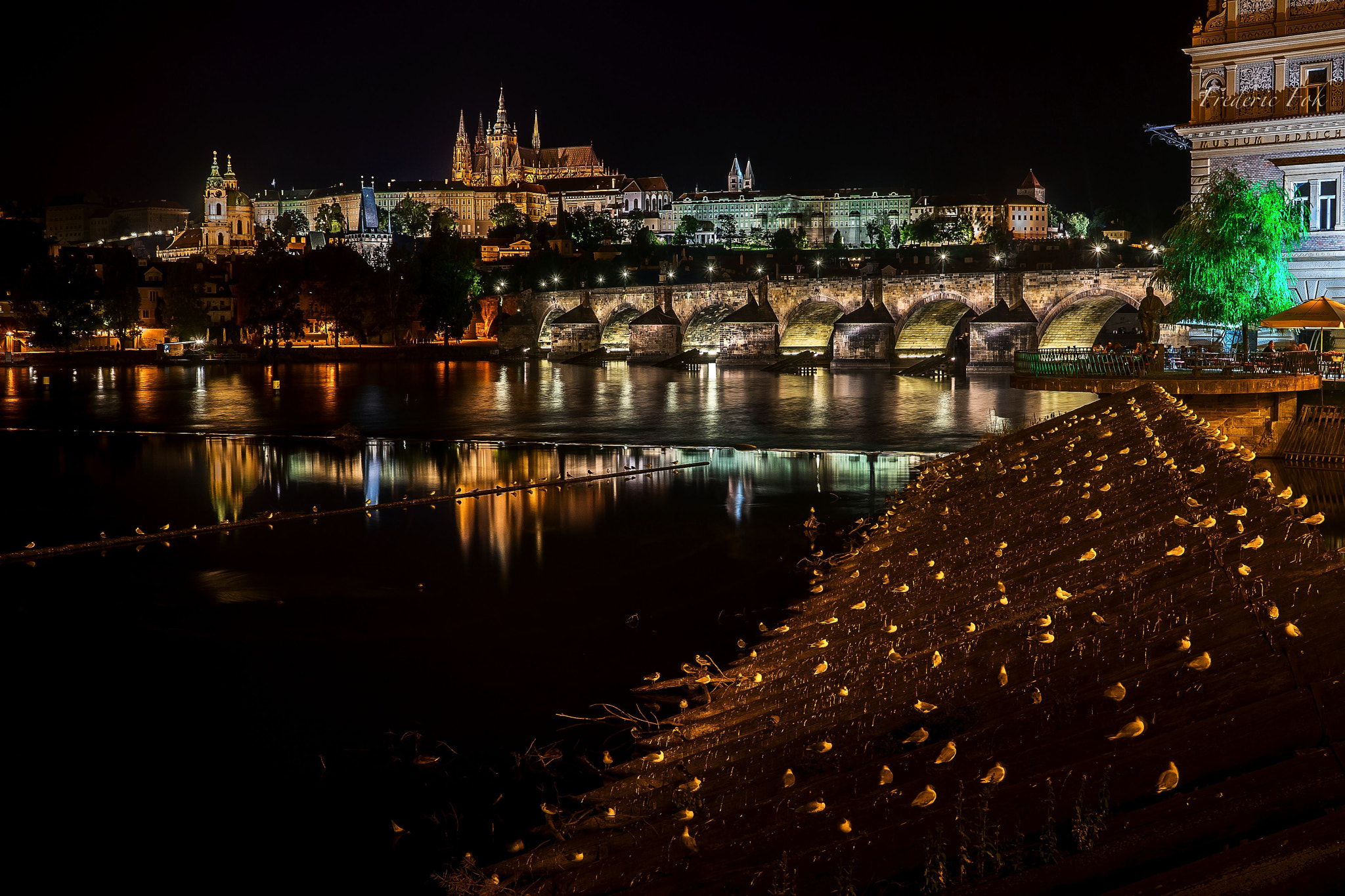 Sony a7 + Sigma 30mm F2.8 EX DN sample photo. Charles bridge by night photography