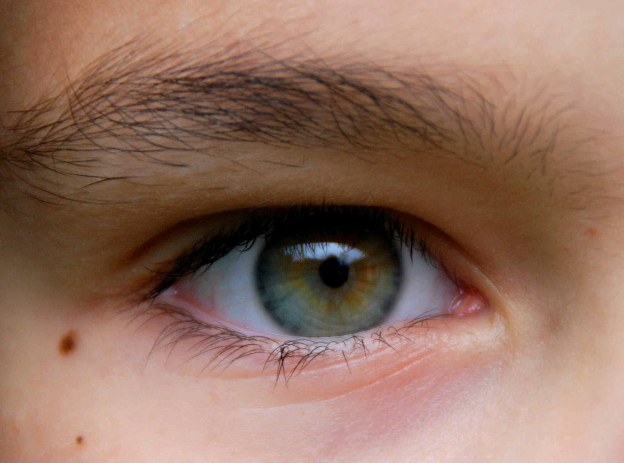 Nikon D80 sample photo. Oeil photography