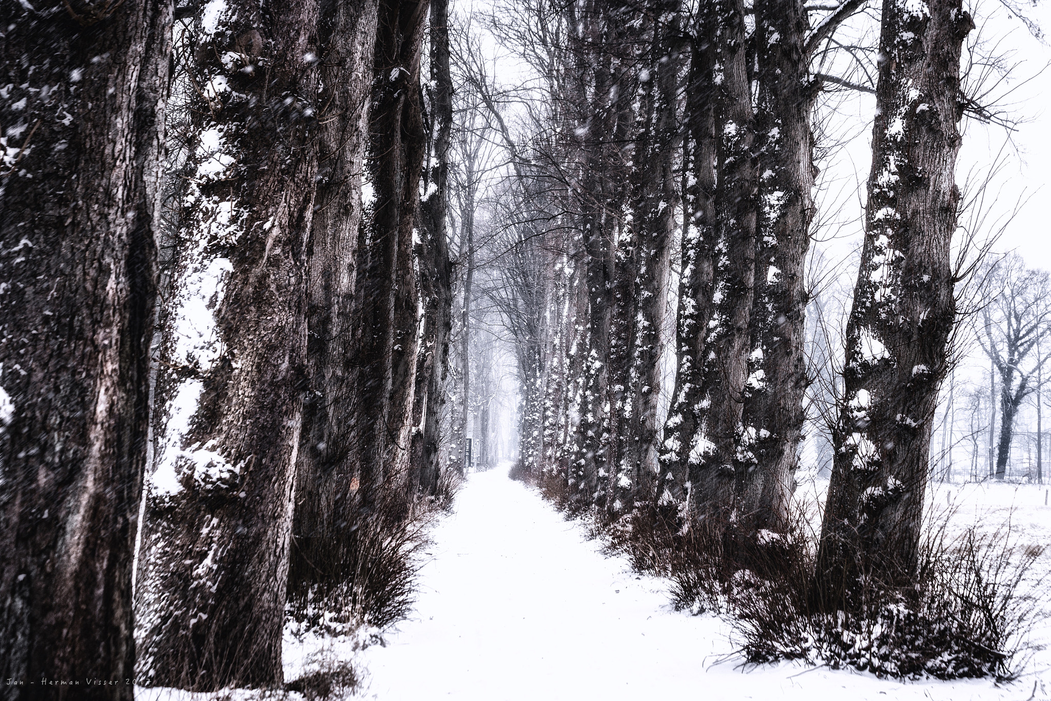 Canon EF 600mm F4L IS II USM sample photo. Winter fairytale.. photography