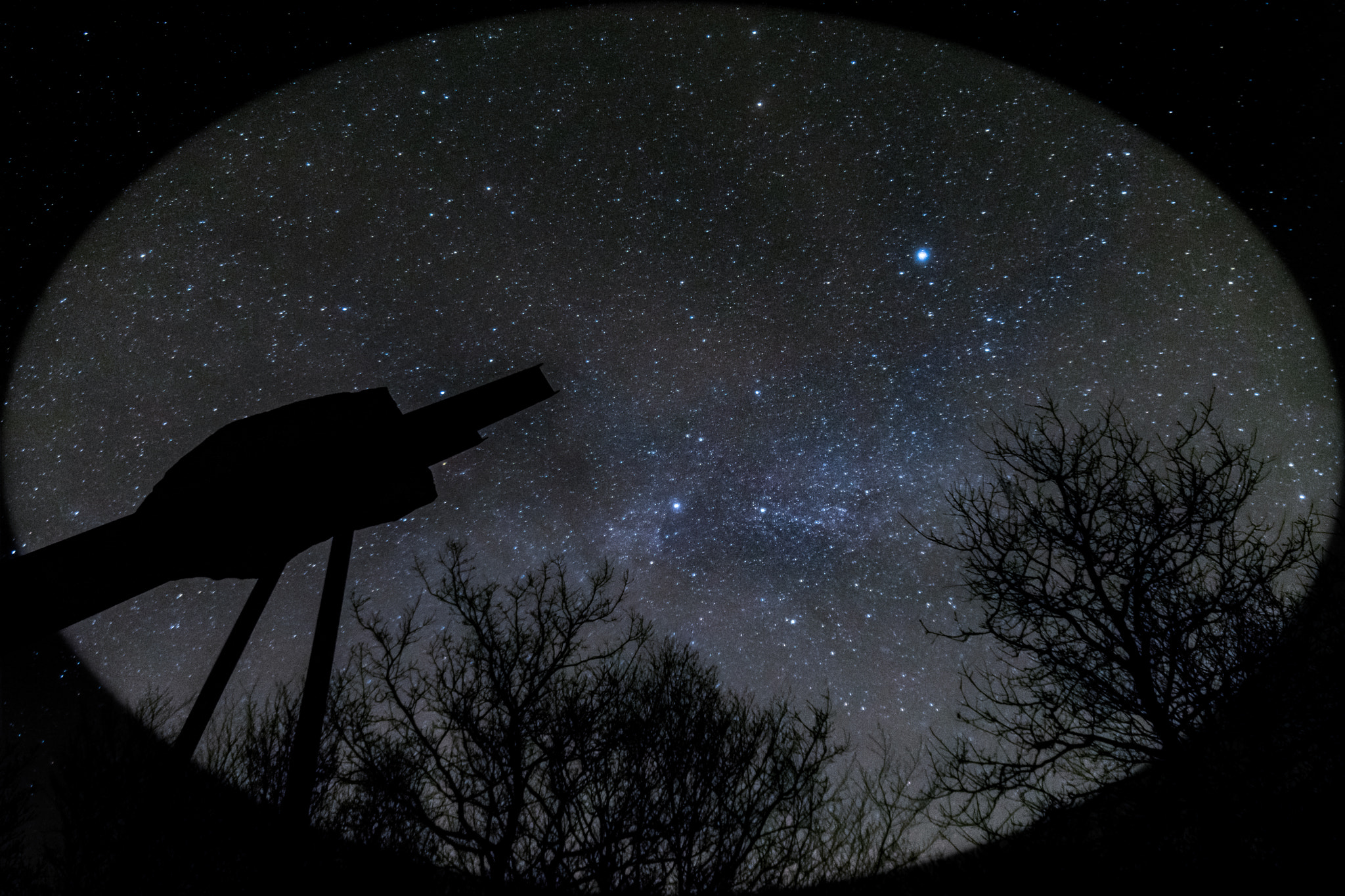 Samyang 14mm F2.8 ED AS IF UMC sample photo. Tørskind re-visited photography