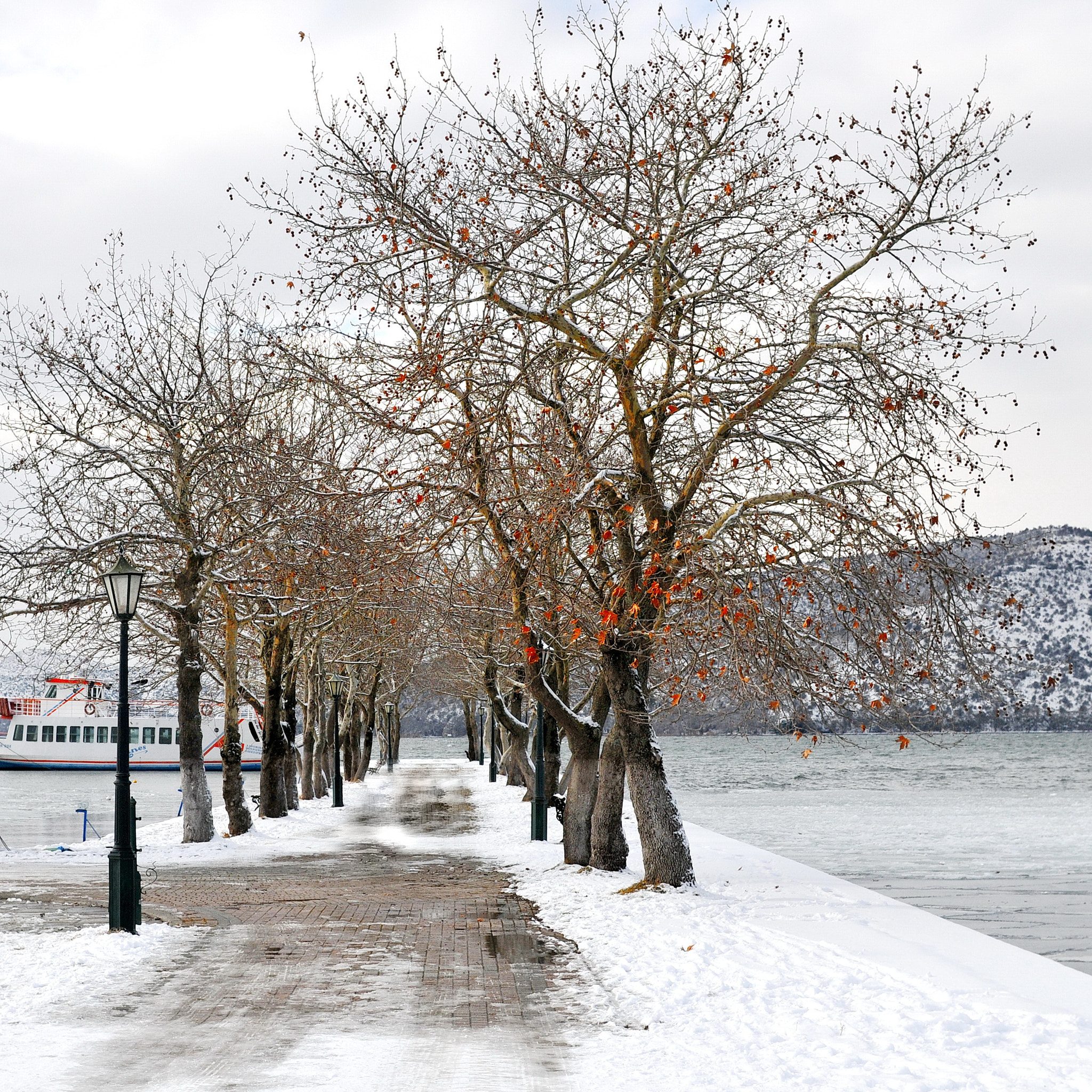 Nikon D300S + Sigma 30mm F1.4 EX DC HSM sample photo. Cold 1 photography