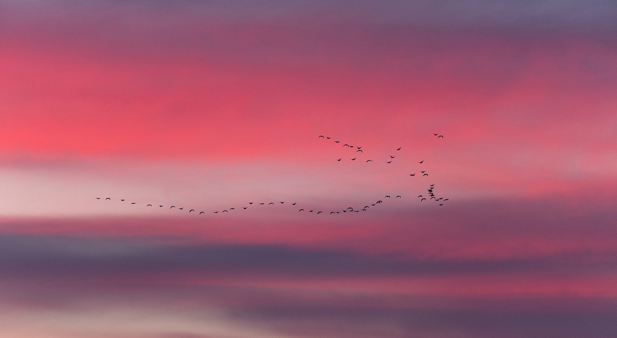 150-600mm F5-6.3 DG OS HSM | Sports 014 sample photo. Traveling in a beautifull sky! photography