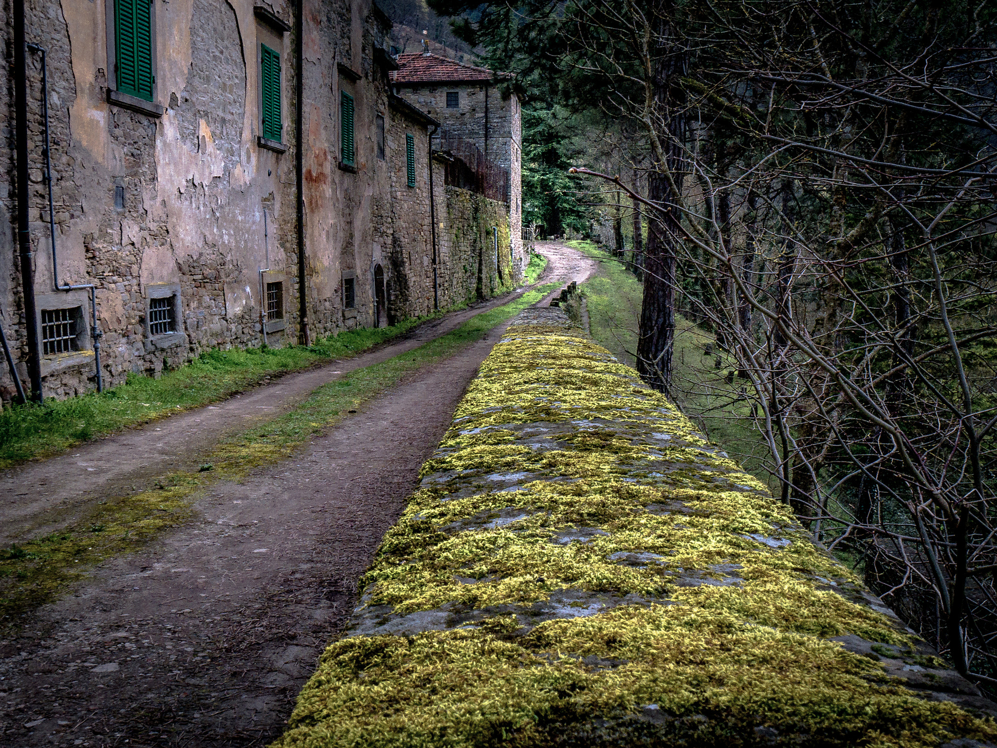 Panasonic Lumix DMC-G6 sample photo. Wall with moss photography