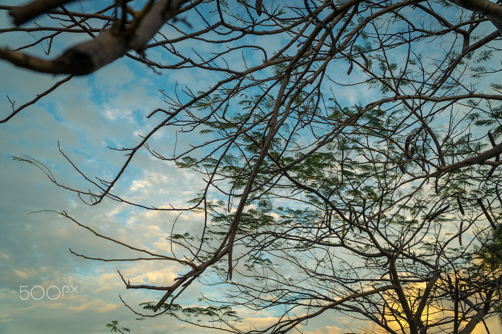 Sony E PZ 18-105mm F4 G OSS sample photo. Miami sky photography